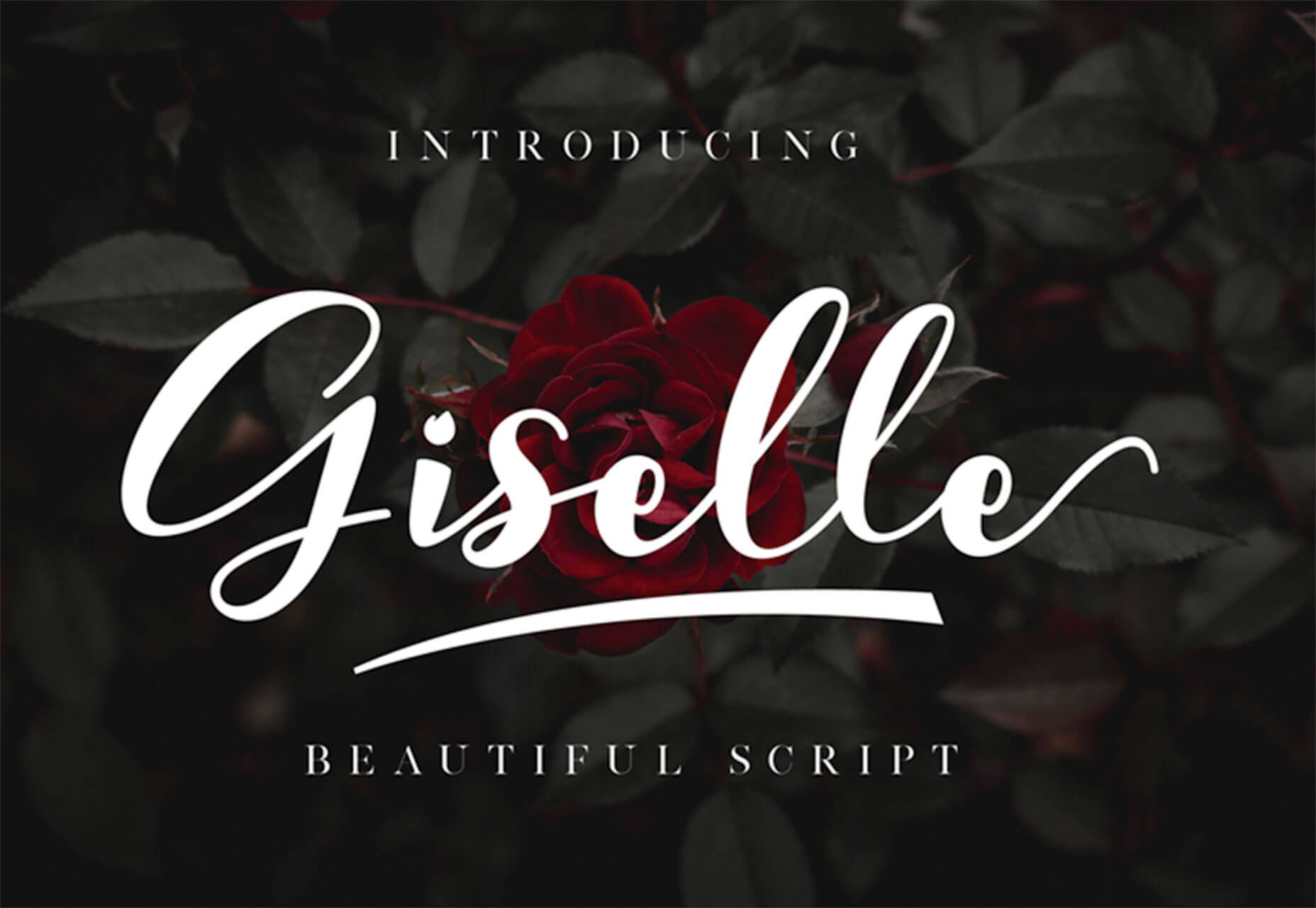 What’s New For Designers, June 2019 giselle