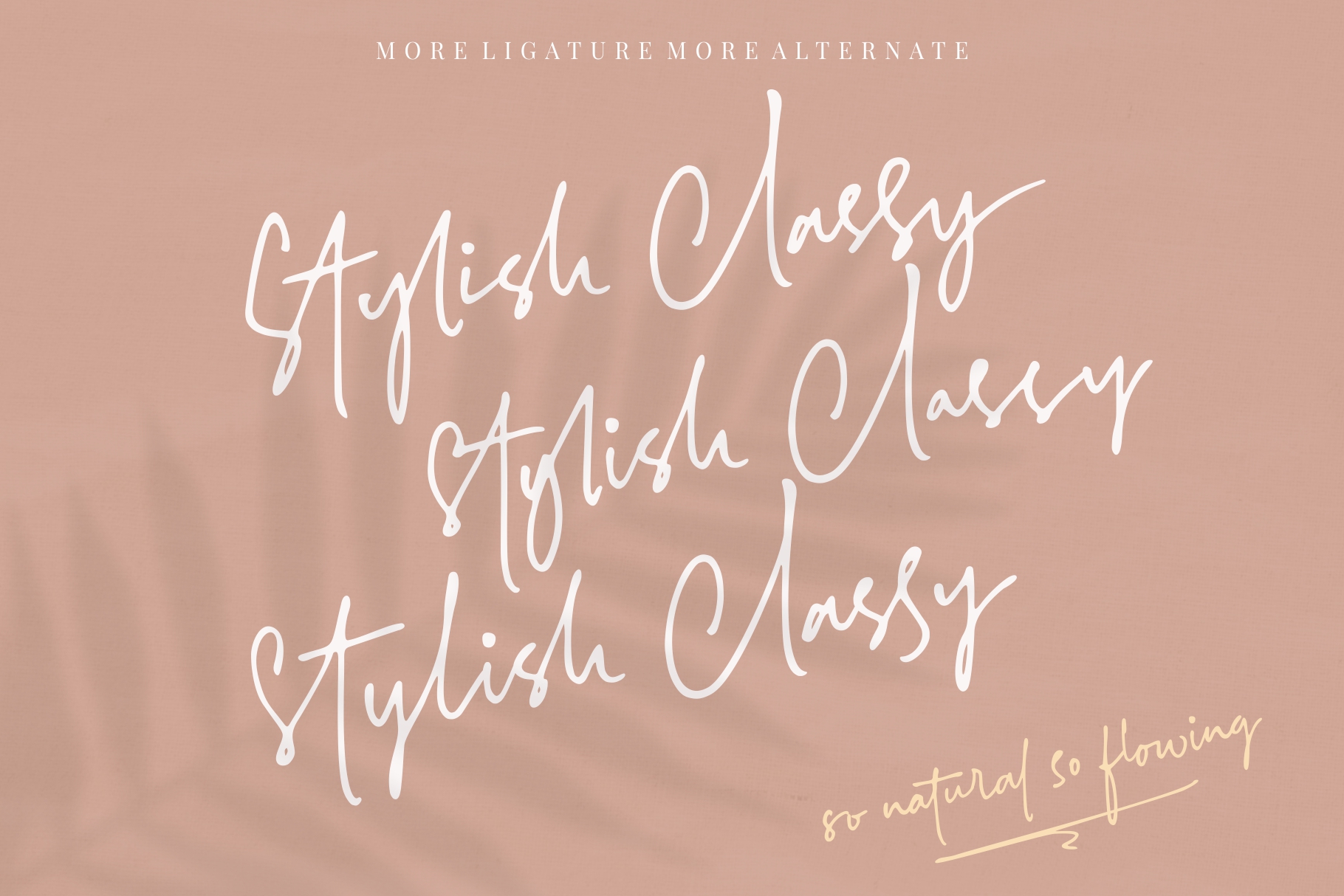 Free Download: Stylish Classy Font Duo 2