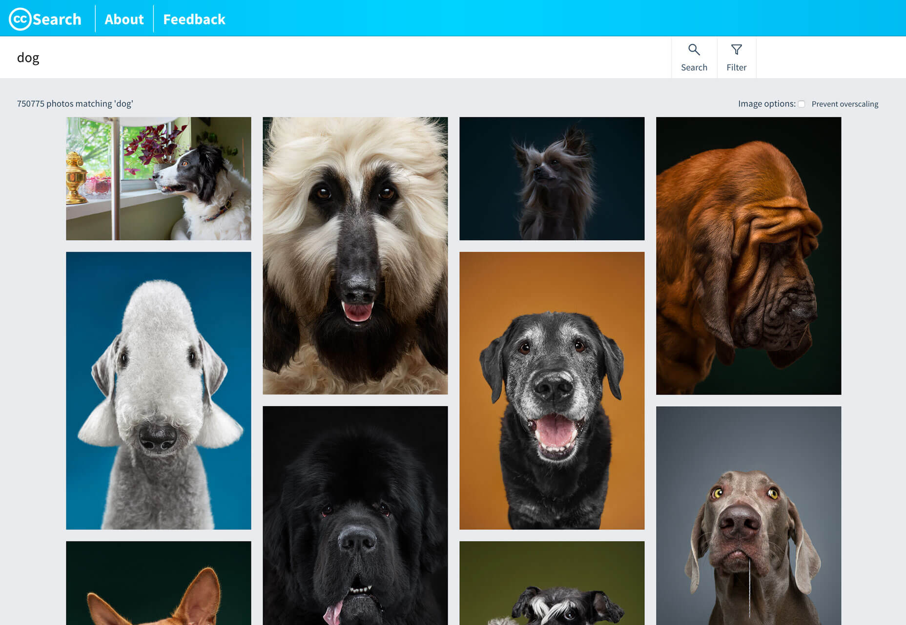 What’s New For Designers, May 2019 cc-search