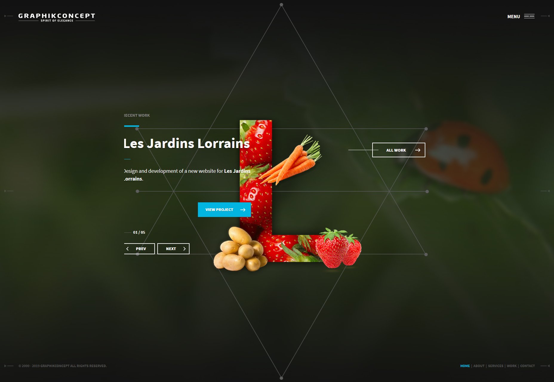 20 Best New Portfolios, May 2019 05-graphik