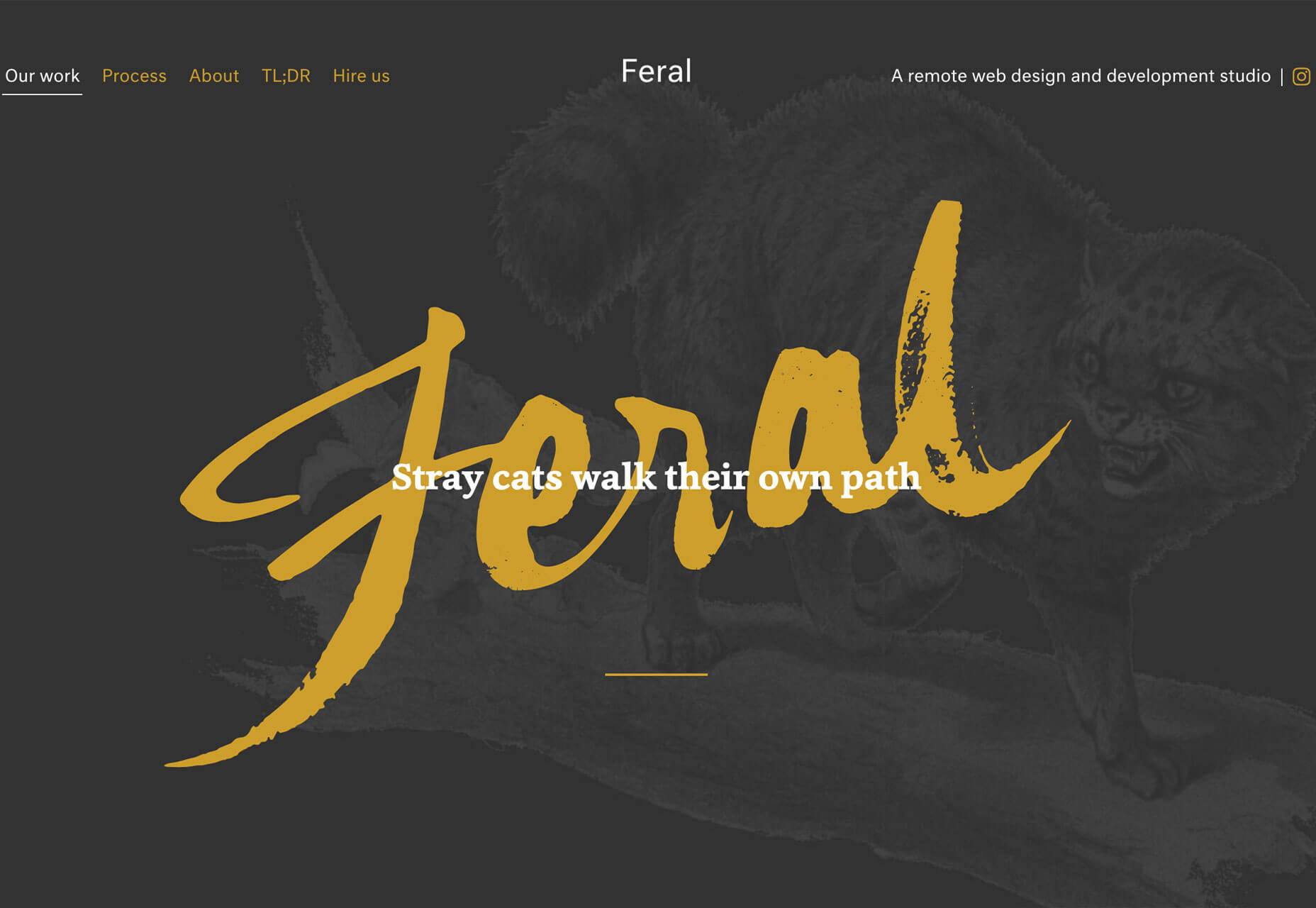 3 Essential Design Trends, May 2019 feral