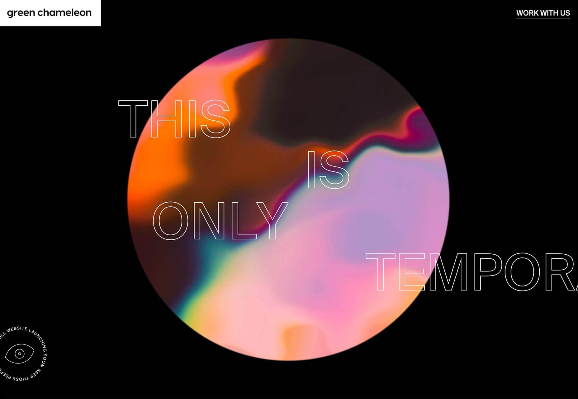 20 Freshest Web Designs, April 2019 14-green-chameleon