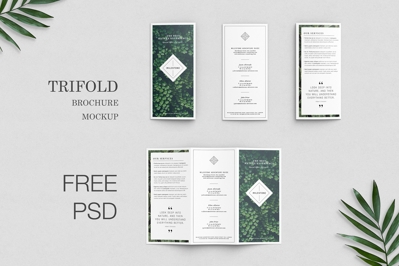 Free Download: Trifold Brochure Mockup m1