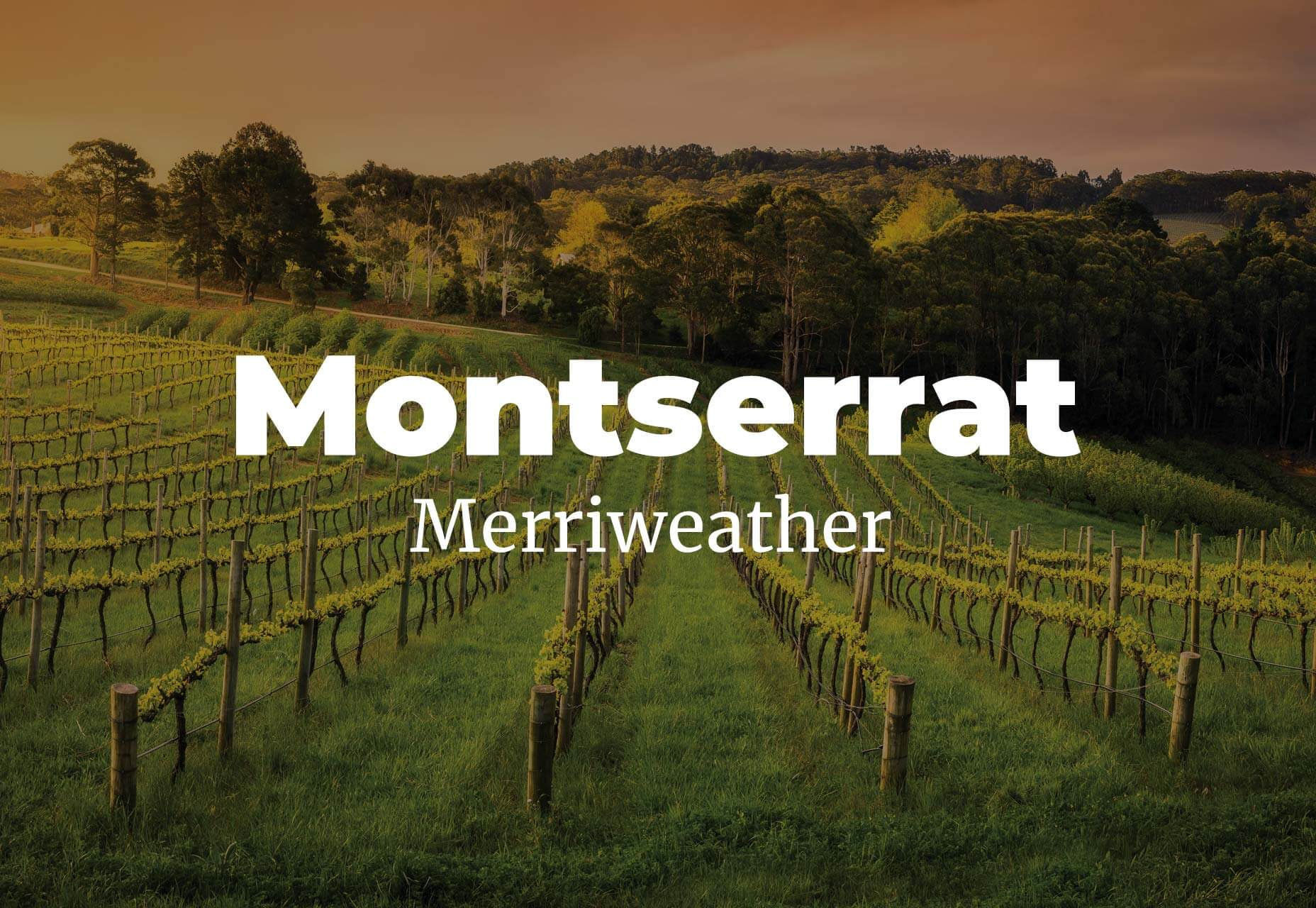 19 Contemporary Font Pairings for 2019 009