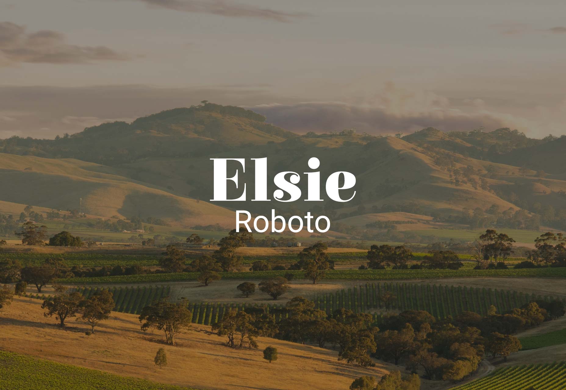 19 Contemporary Font Pairings for 2019 015