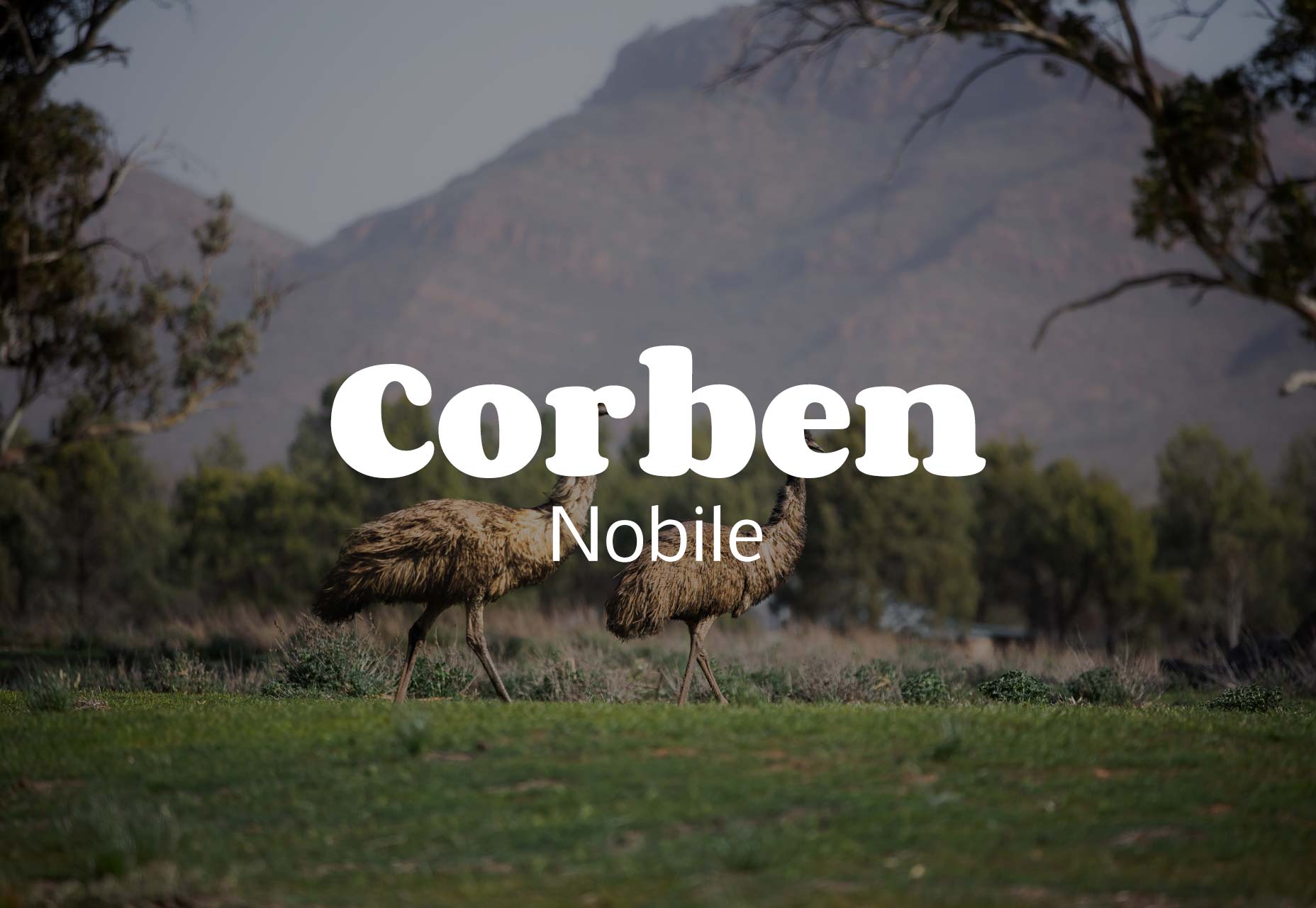 19 Contemporary Font Pairings for 2019 019