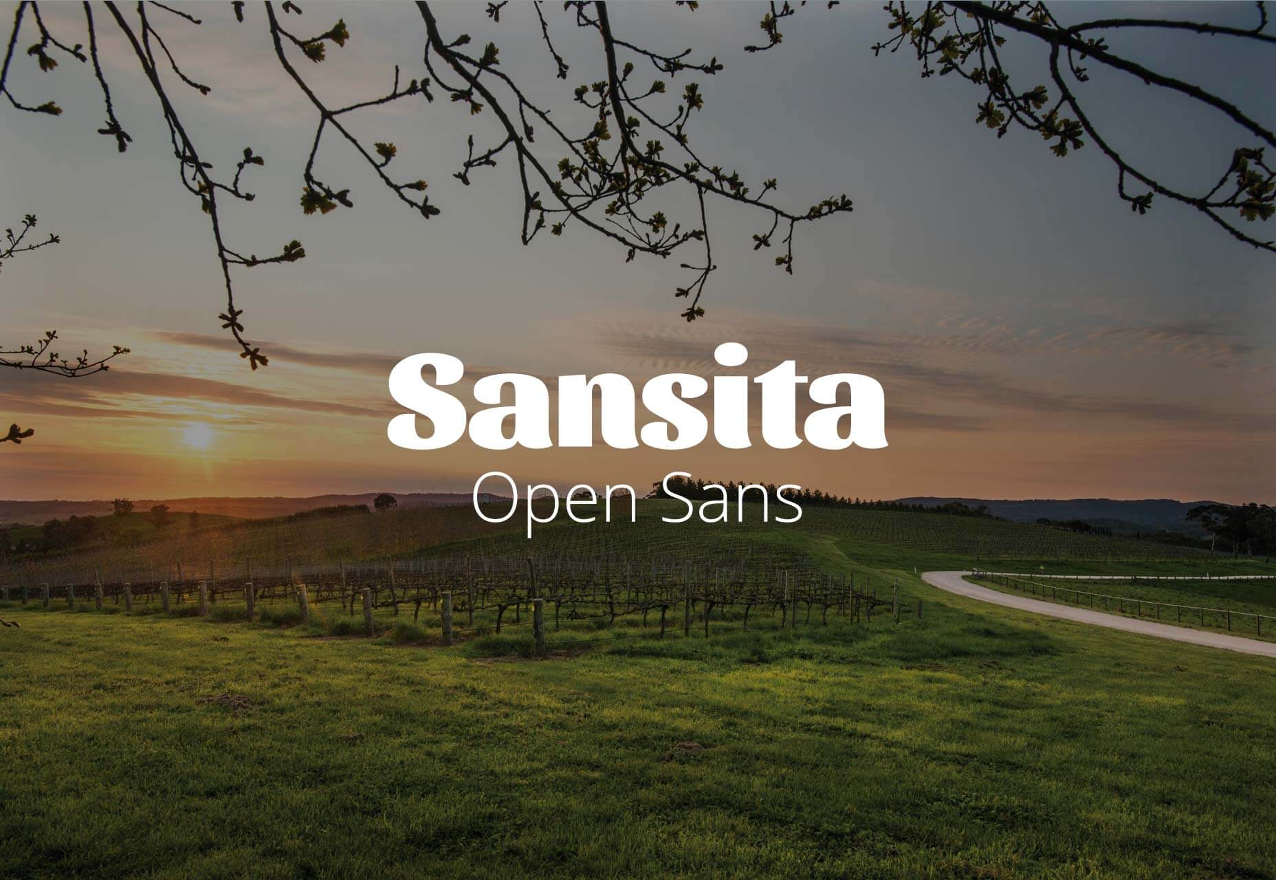 19 Contemporary Font Pairings for 2019 010