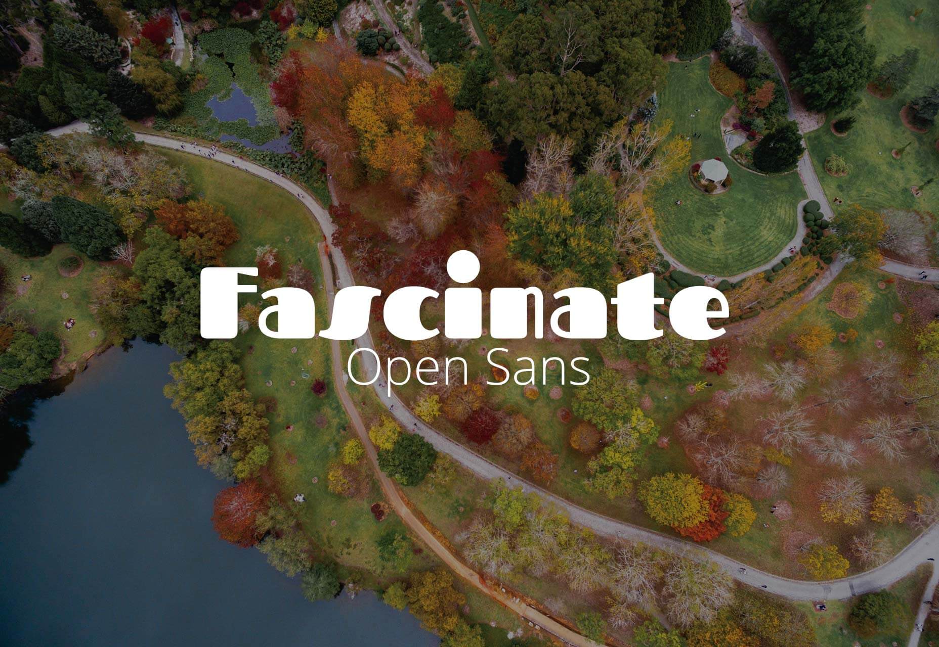 19 Contemporary Font Pairings for 2019 011
