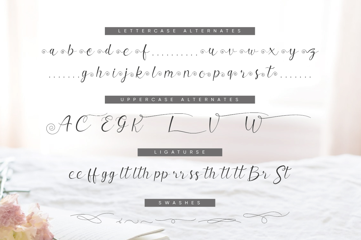 Free Download: Valerissa Script v8