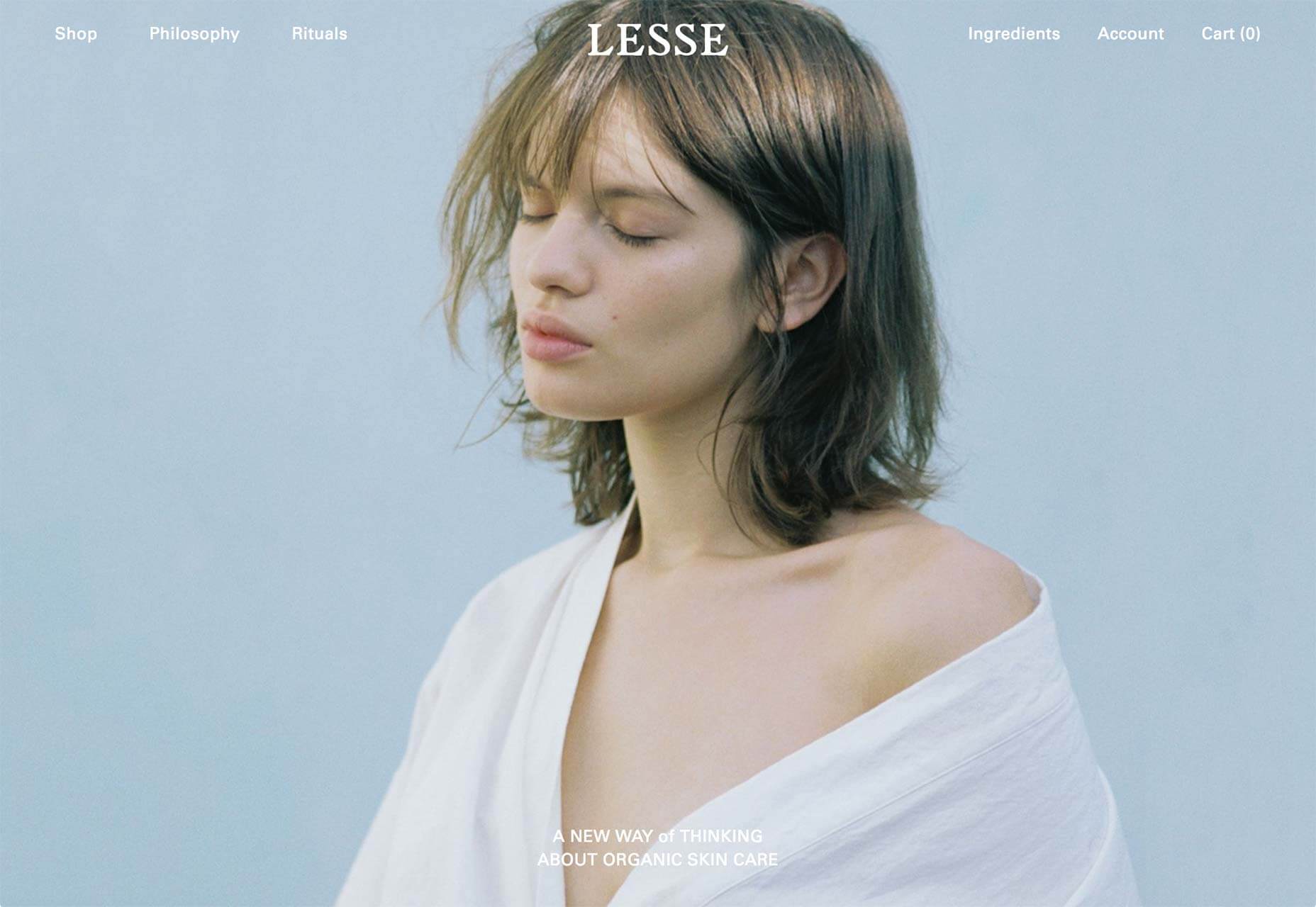20 Freshest Web Designs, January 2019 08_lesse