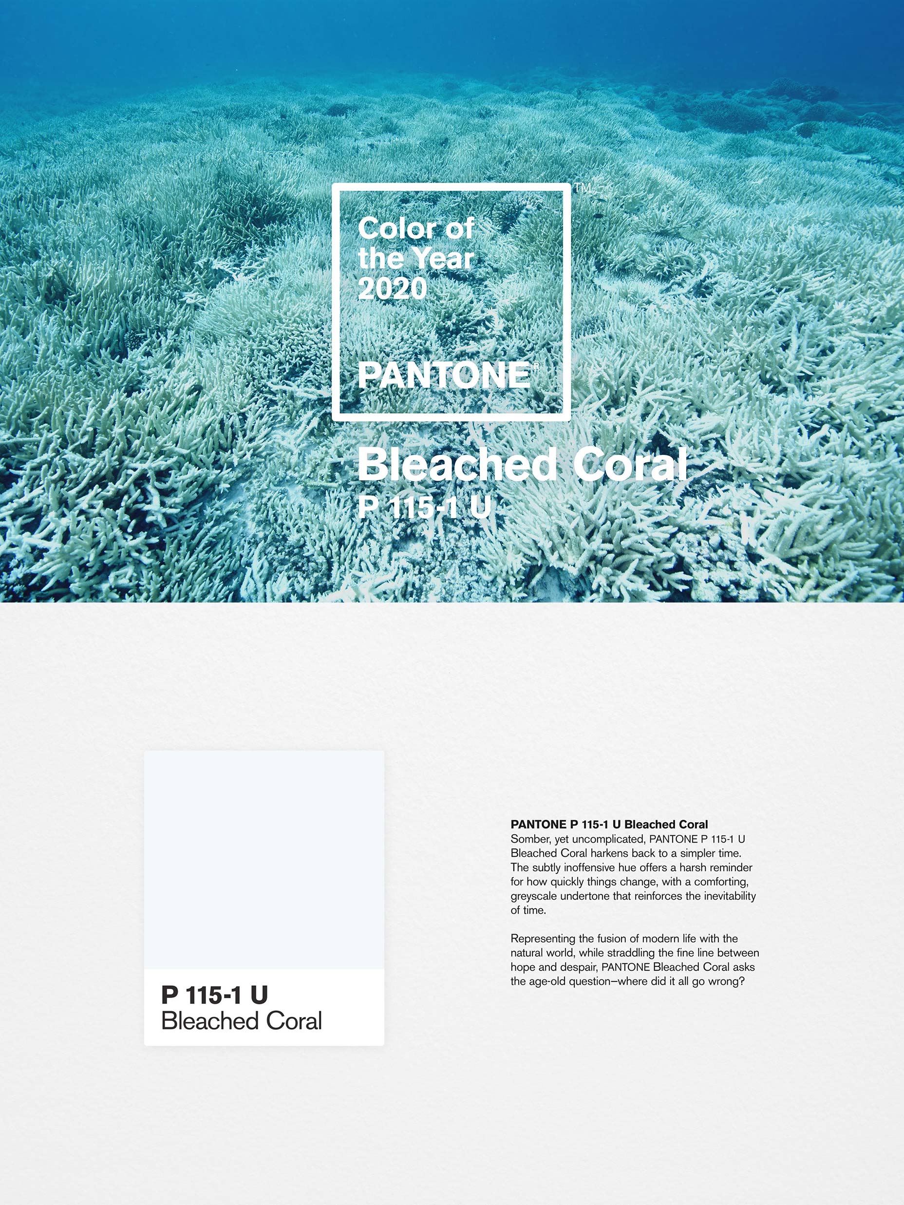 Unofficial Pantone Color for 2020 Revealed bleachedcoral