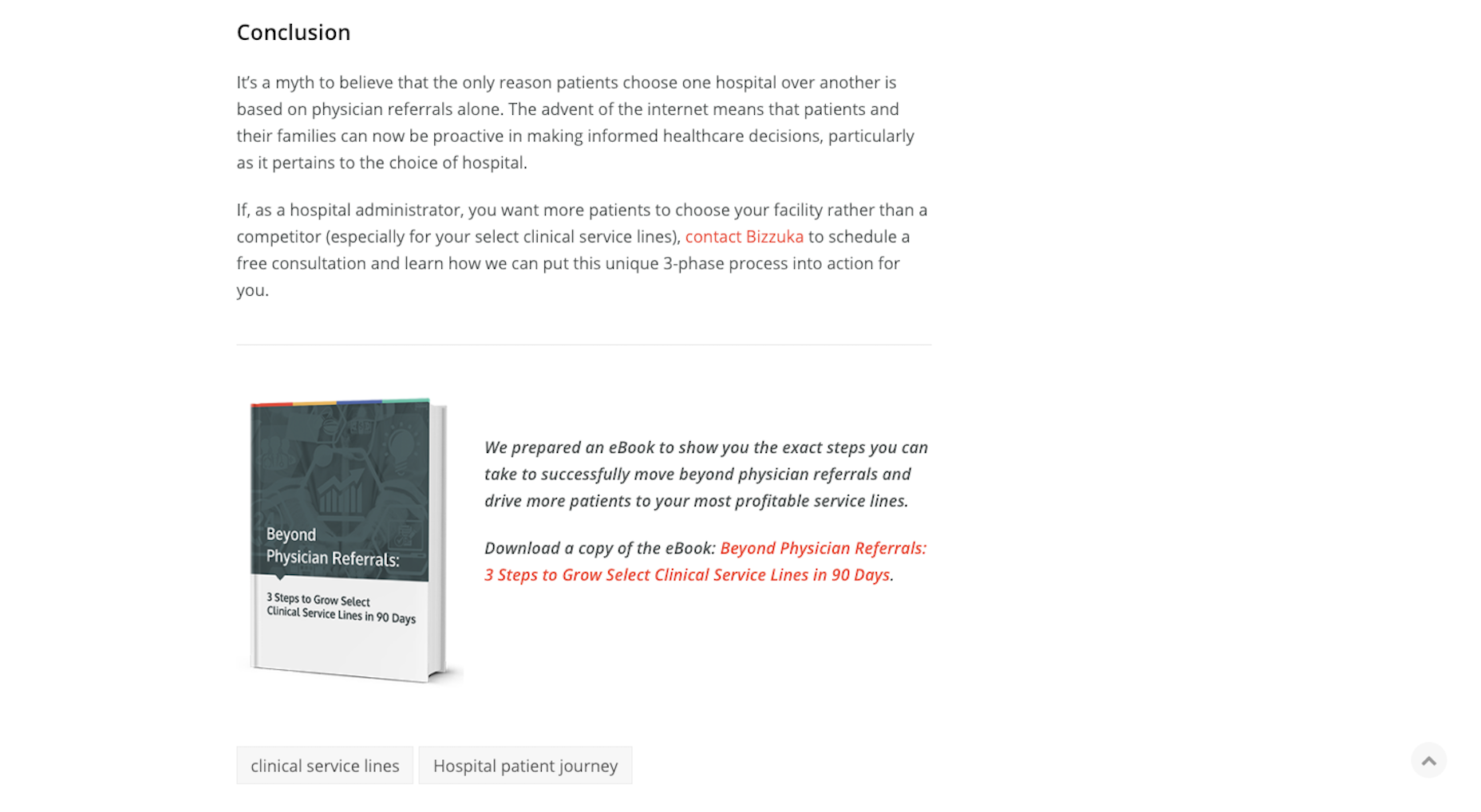 Grow Your Design Business with Lead Magnets Bizzuka eBook