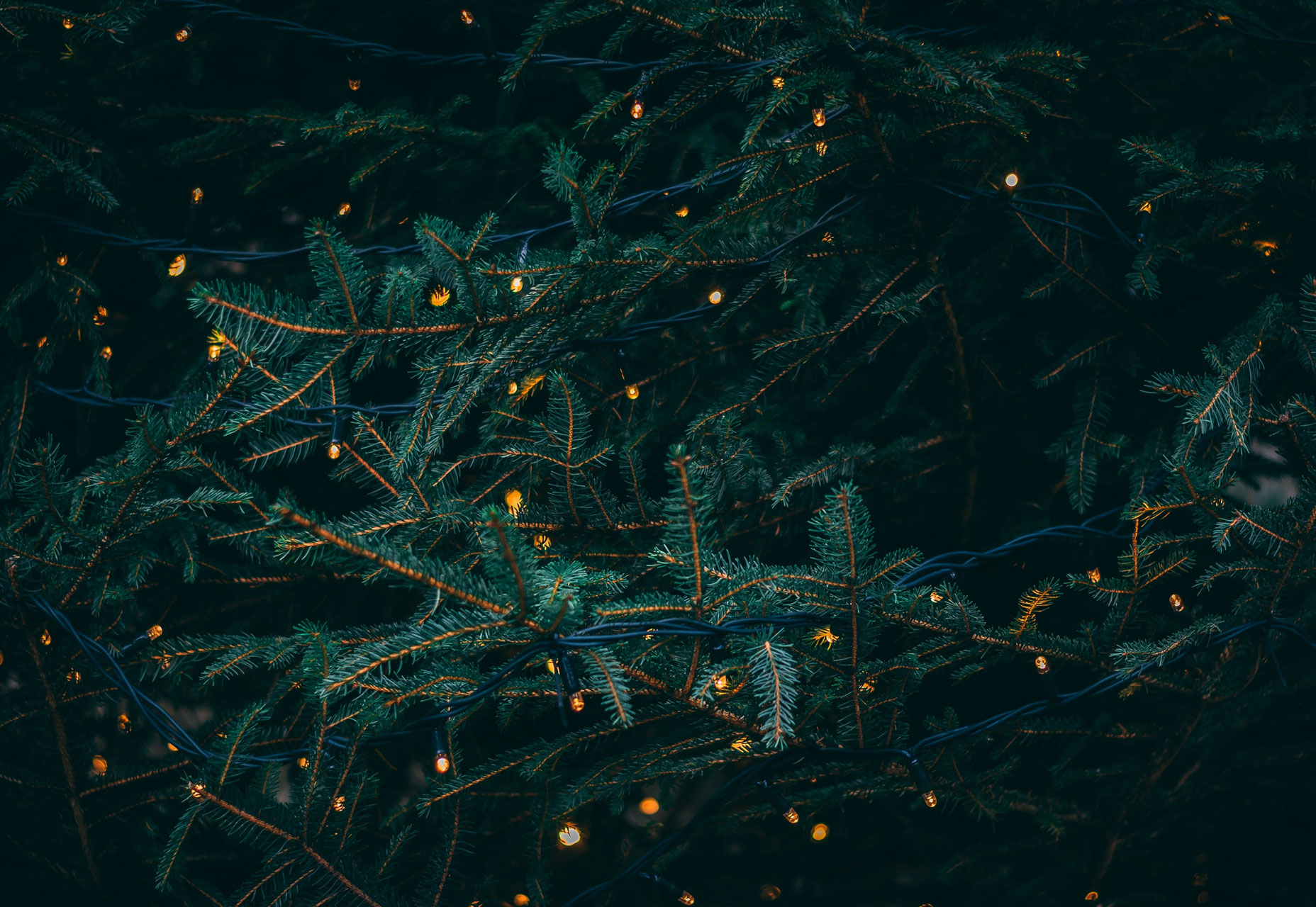 What’s New for Designers, December 2018 xmas-wallpaper