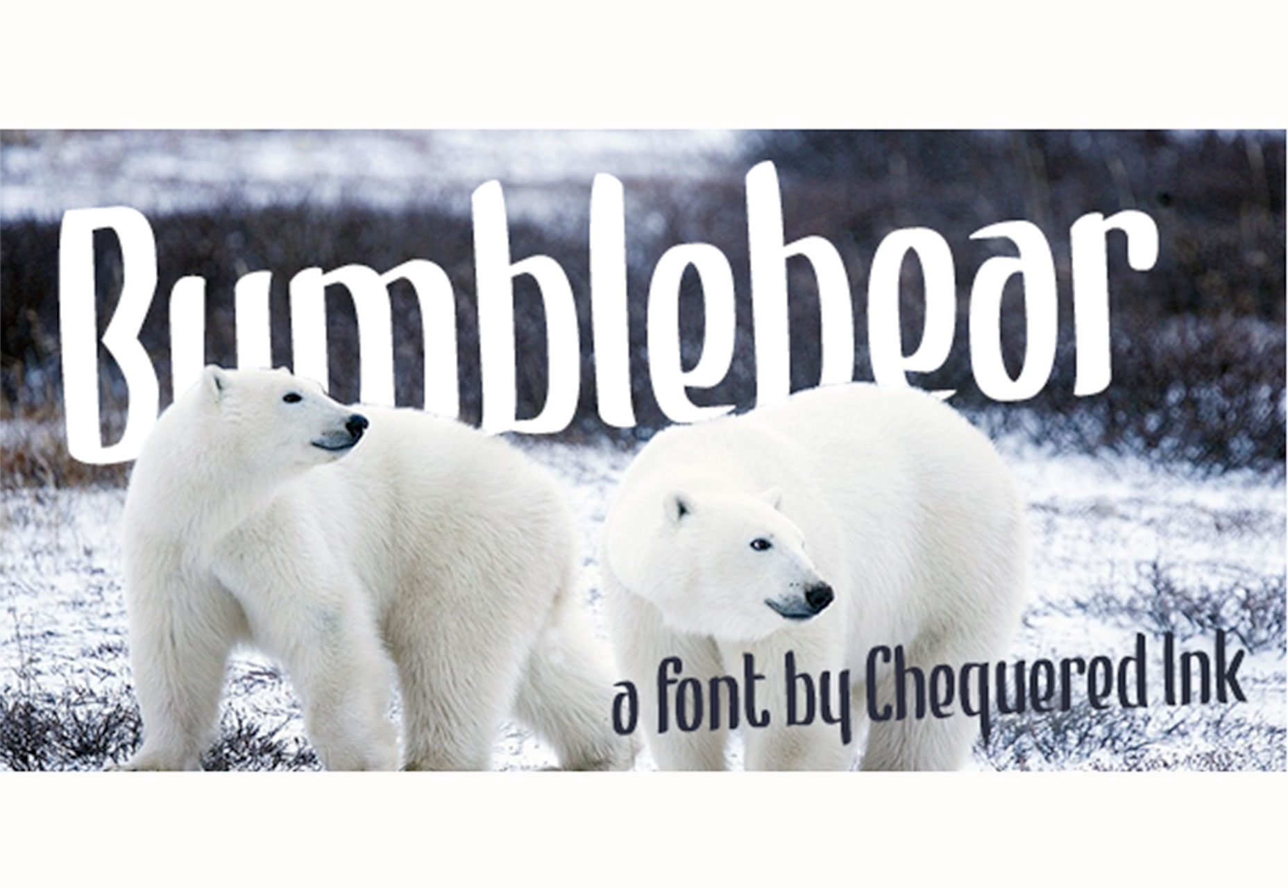 What’s New for Designers, December 2018 bumblebear