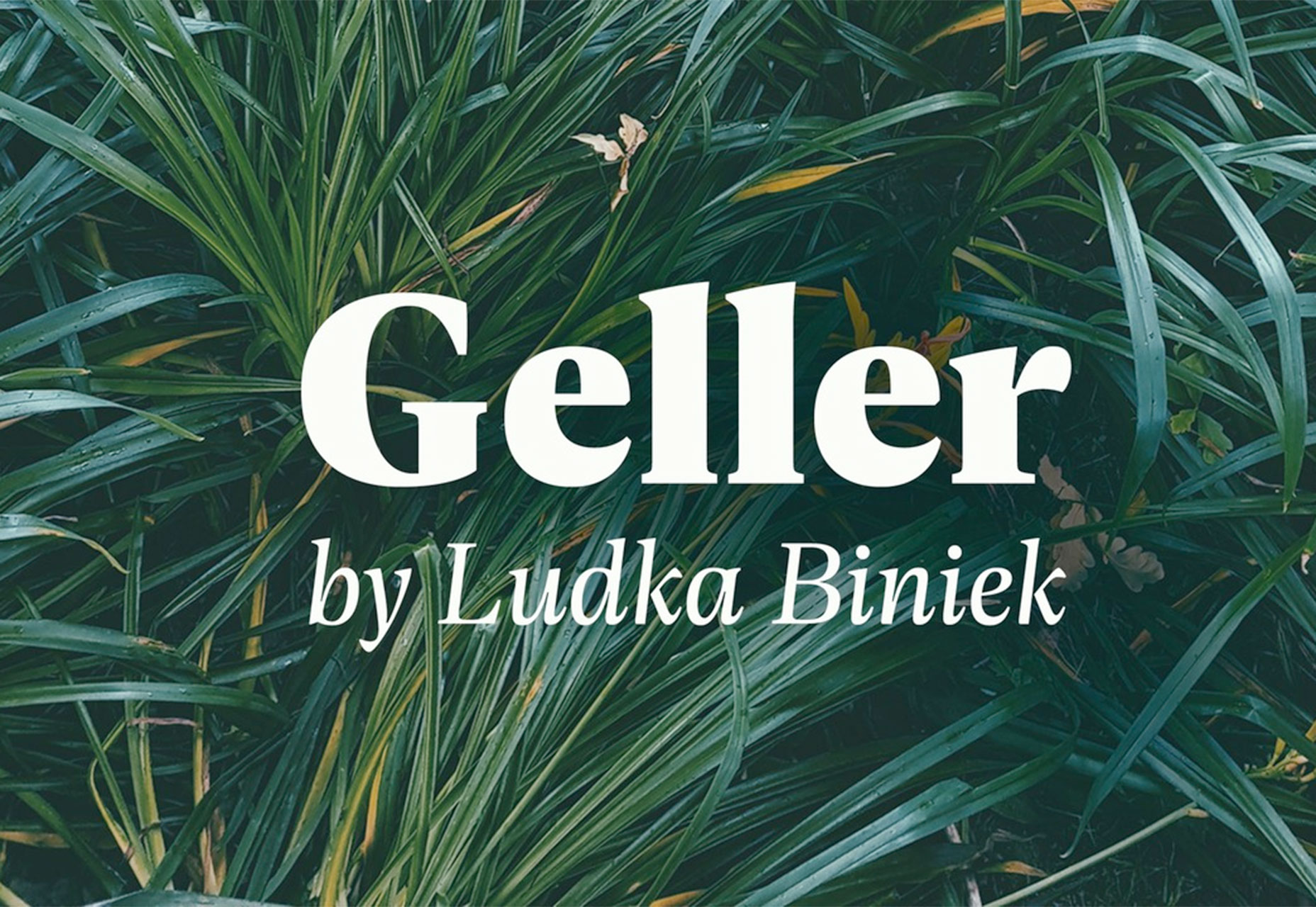 What’s New for Designers, December 2018 geller