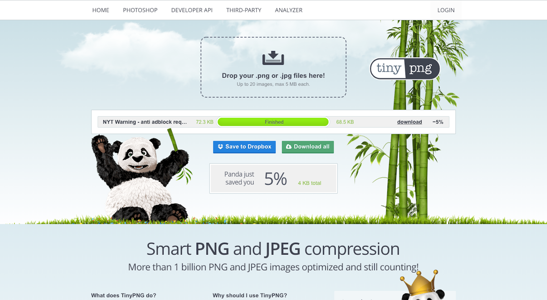Common SEO Mistakes (and How to Fix Them with Design) TinyPNG Savings