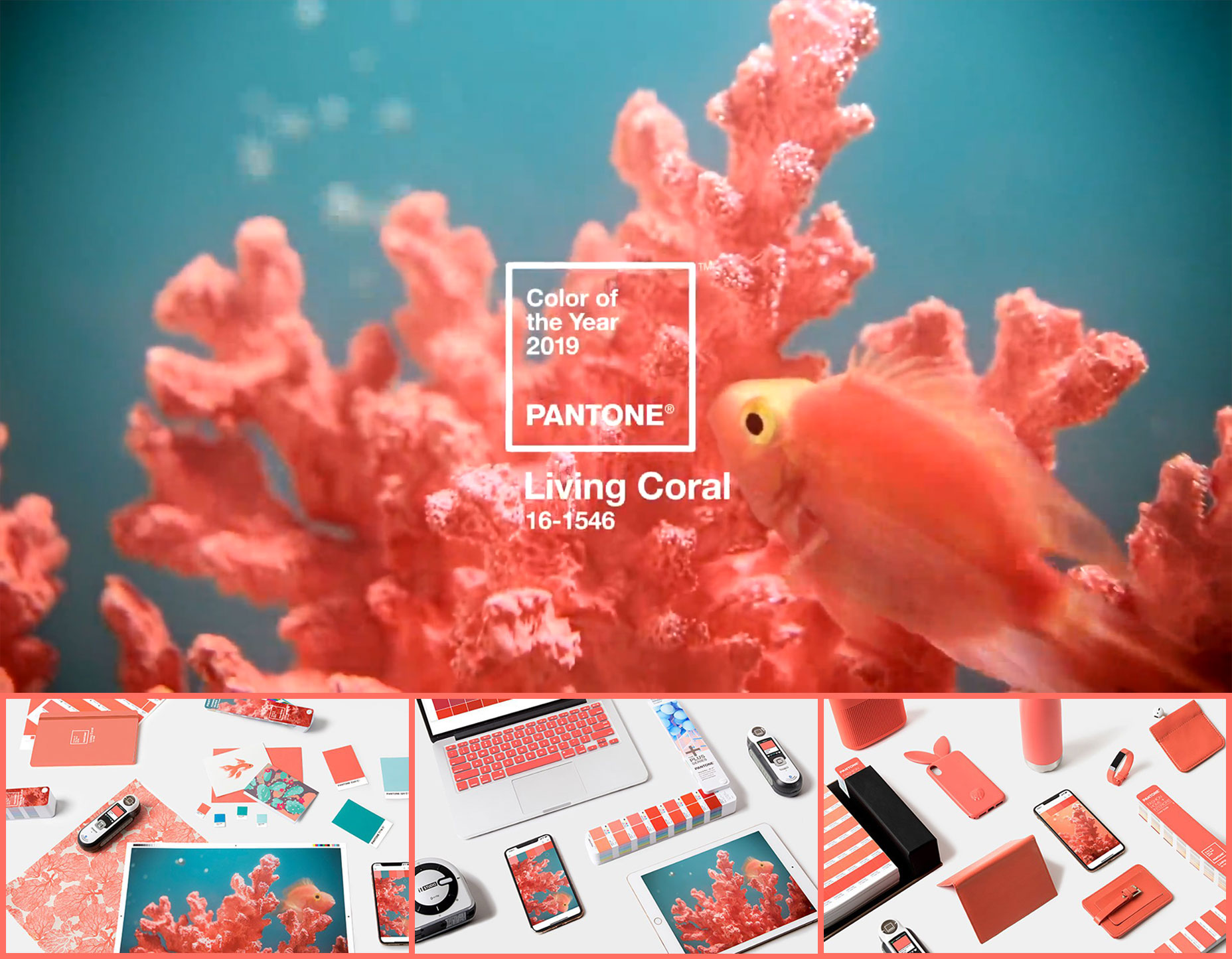 Pantone Announces Color of the Year: Living Coral pantone_preview