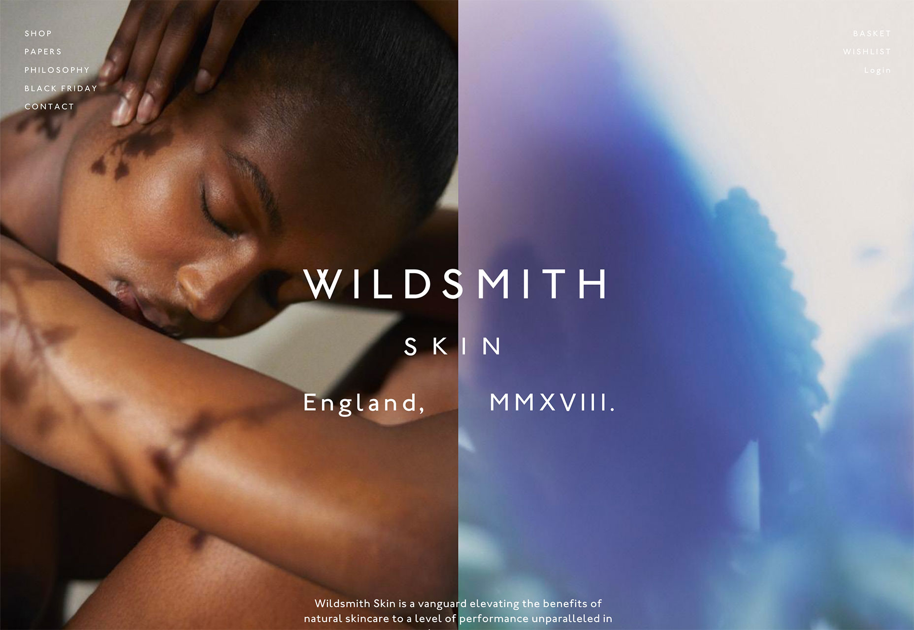 3 Essential Design Trends, December 2018 wildsmith