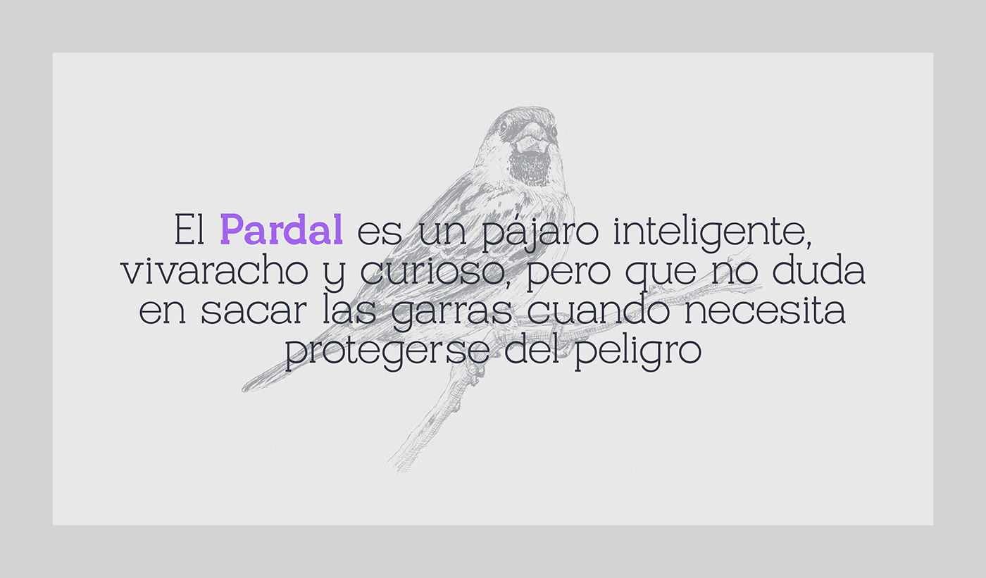 Free Download: Pardal Regular & Italic p2