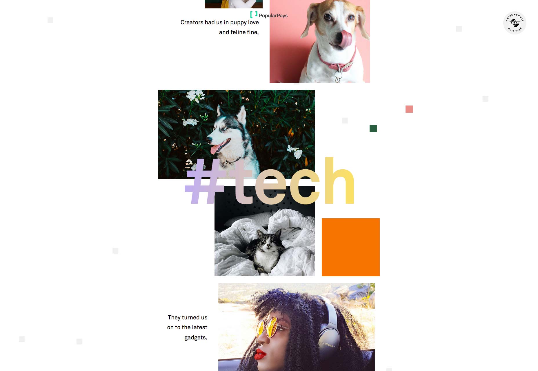 Unique Ways to Integrate Social Media into Web Design popularpays