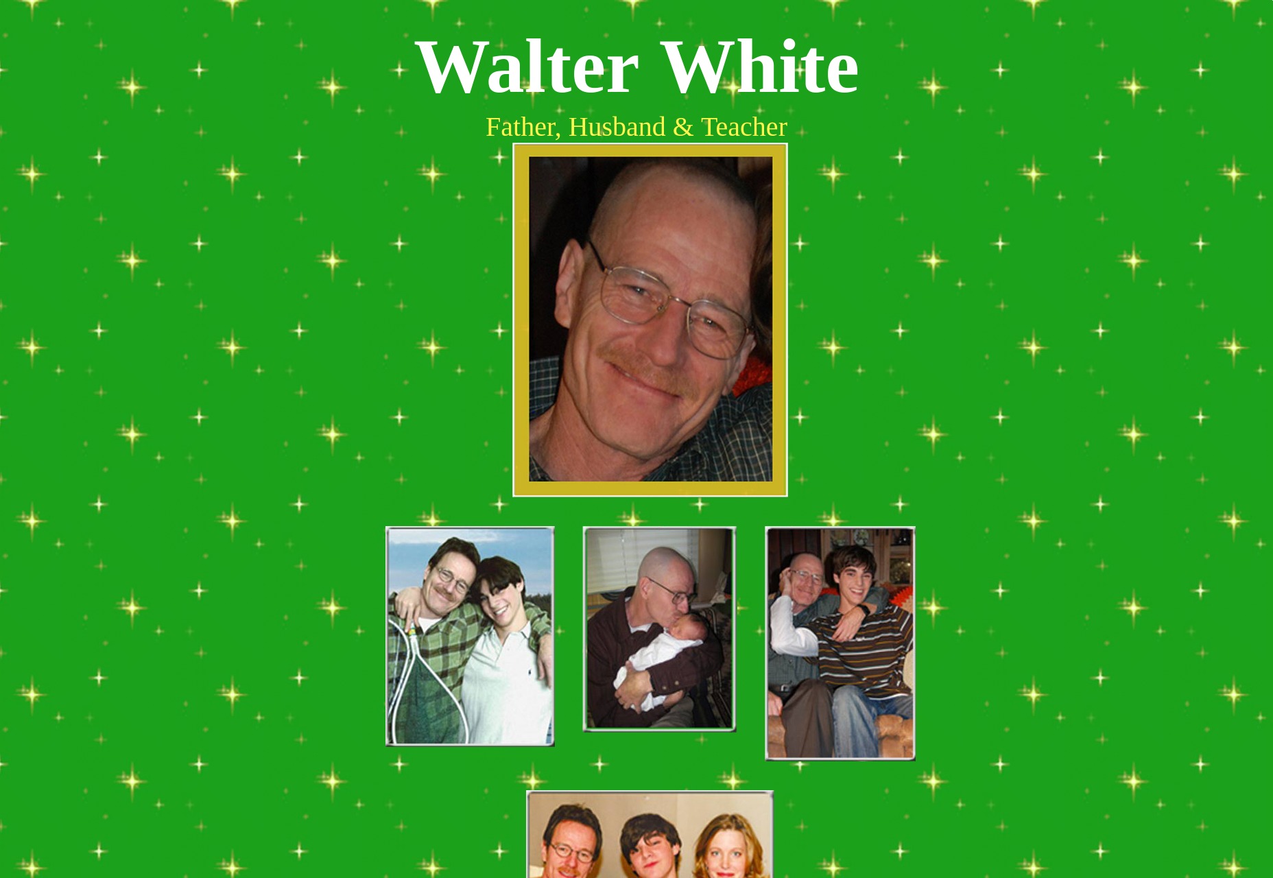 9 Fictional Websites Reviewed 07-savewalter