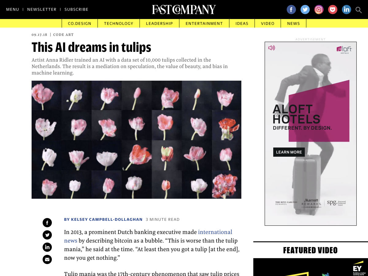 tulips