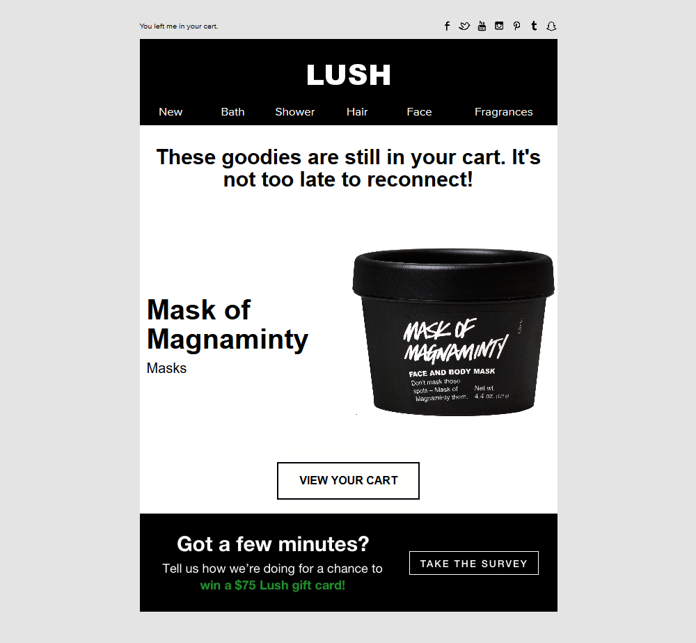 How to Recover Abandoned eCommerce Carts first-series-email-example