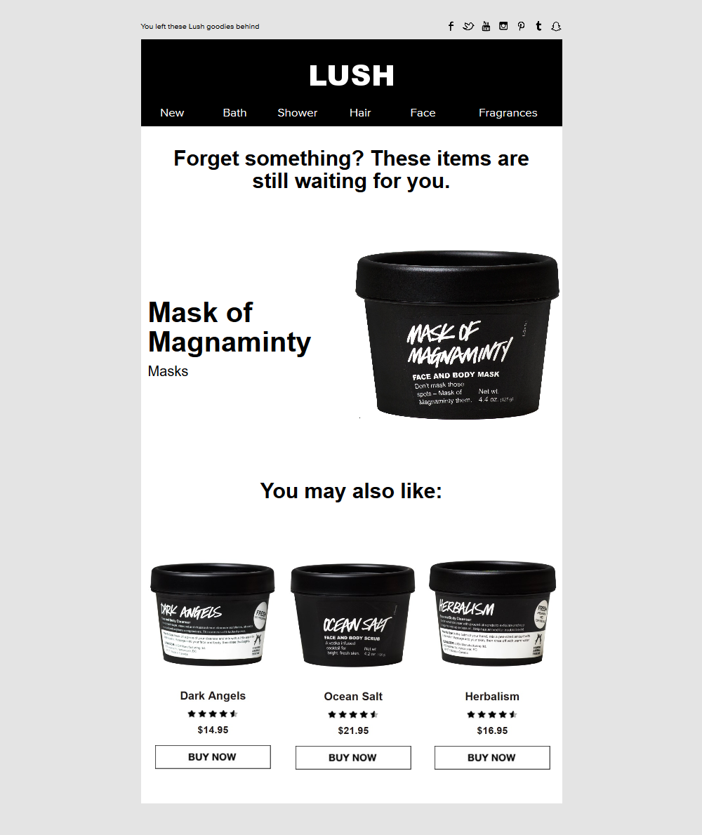 How to Recover Abandoned eCommerce Carts second-series-email-example