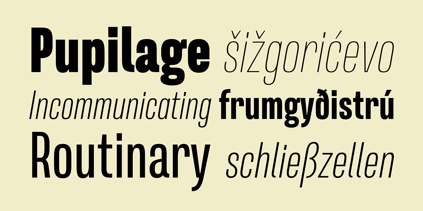 Free Download: Naratif Bold Italic and Naratif Thin Image10