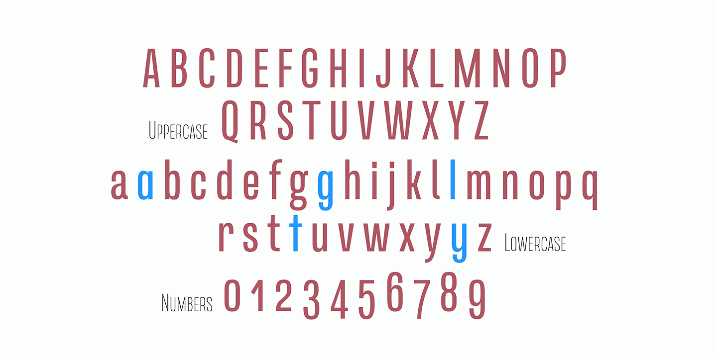 Free Download: Naratif Bold Italic and Naratif Thin Image7