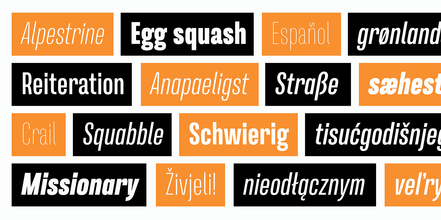 Free Download: Naratif Bold Italic and Naratif Thin Image2