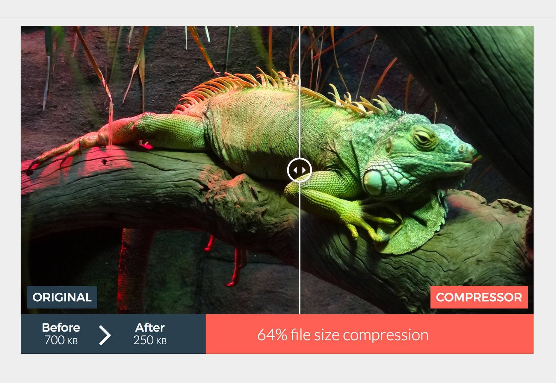 10 Ways to Design Your Website for Mobile Speed swatch