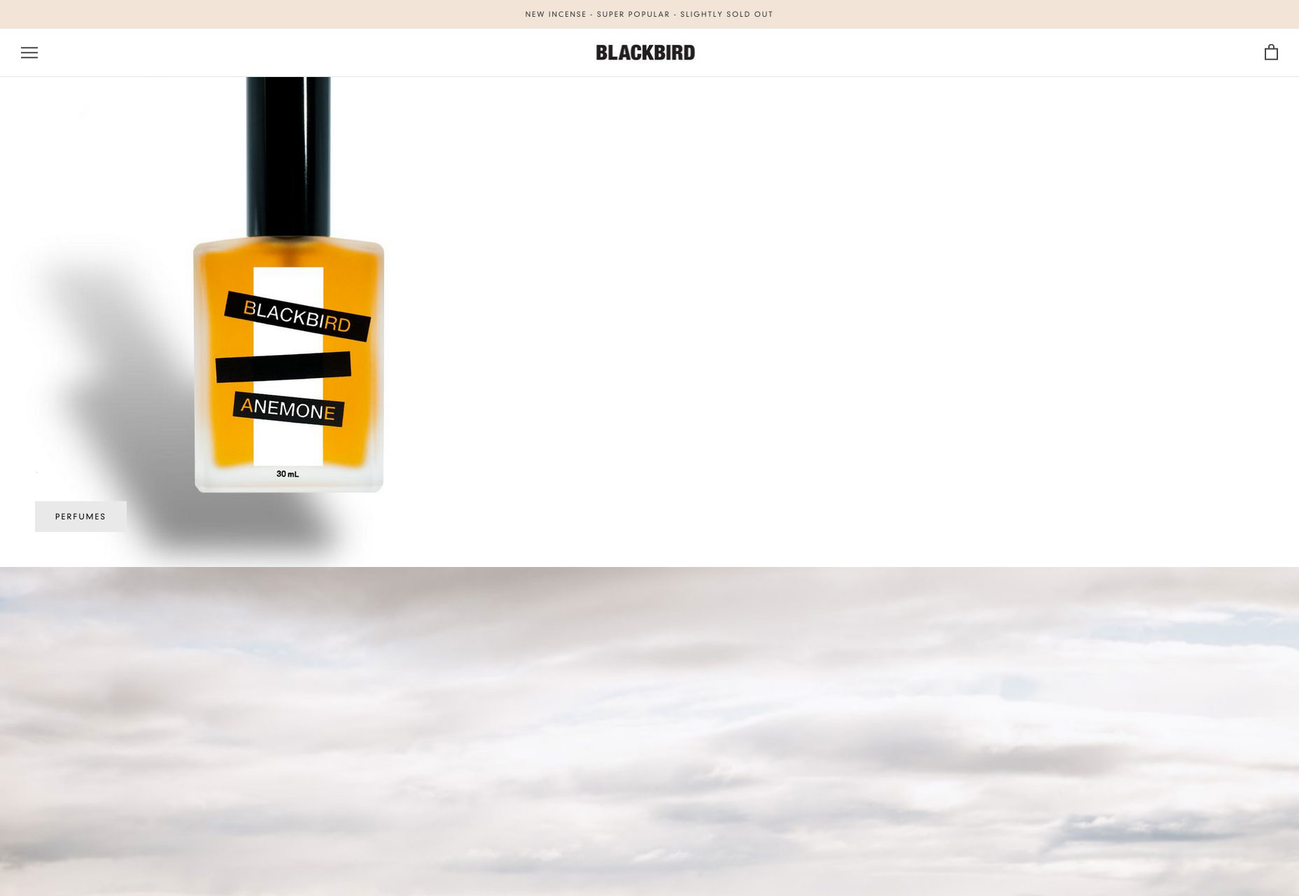 20 Freshest Web Designs, July 2018 blackbird