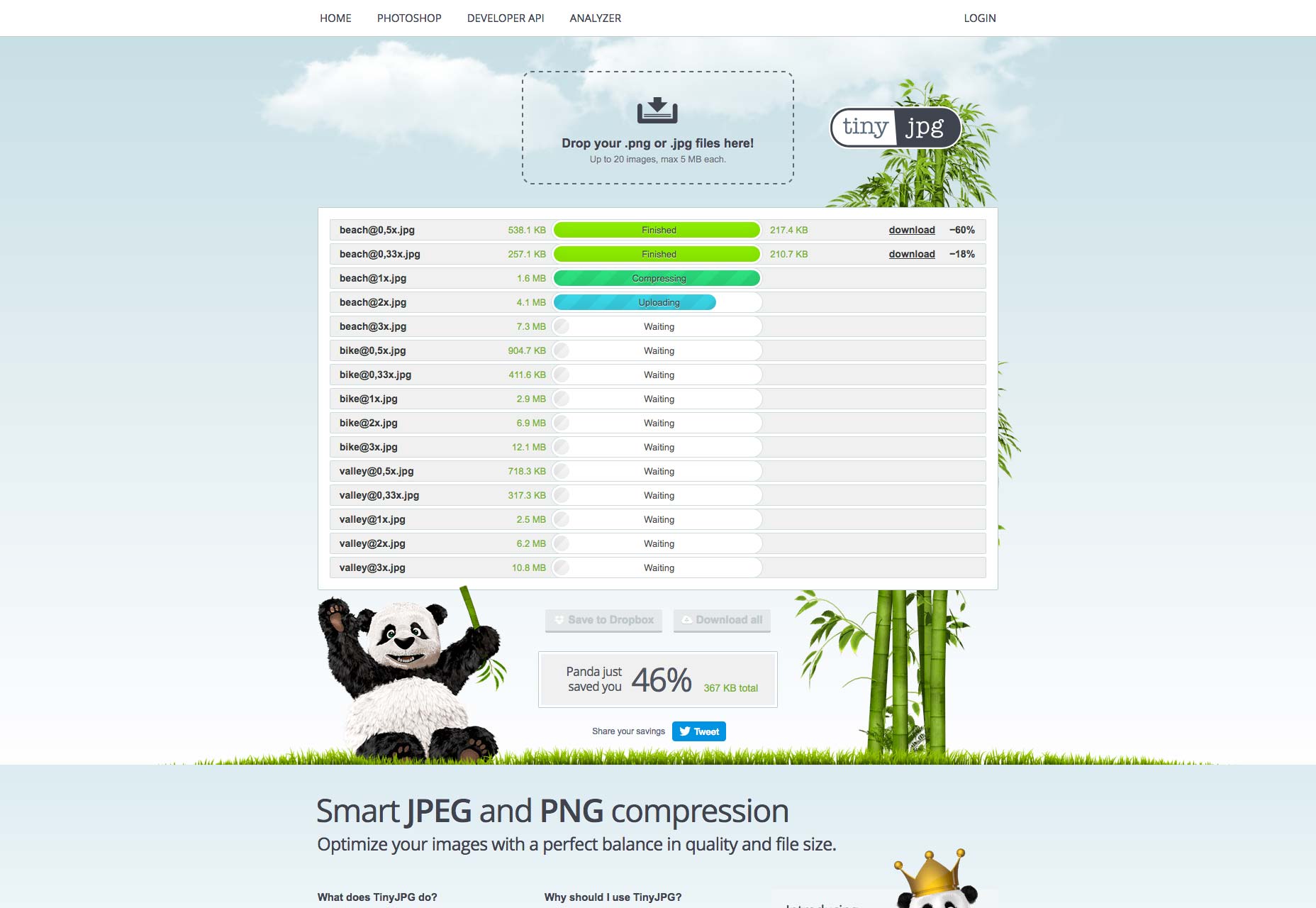 The Best Image Compression Tools for the Web tinyjpg