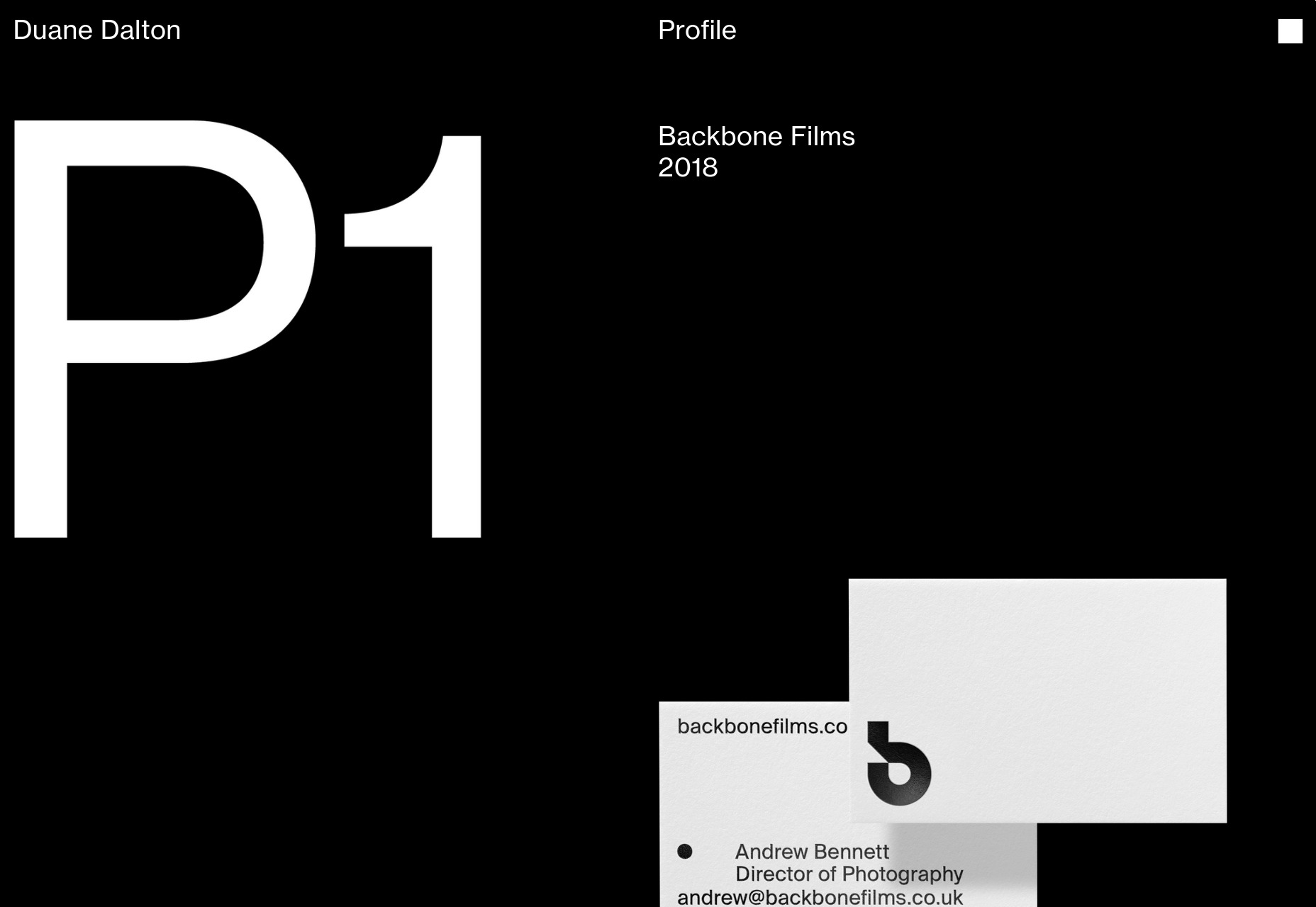 20 Best New Portfolios, June 2018 03-Duane