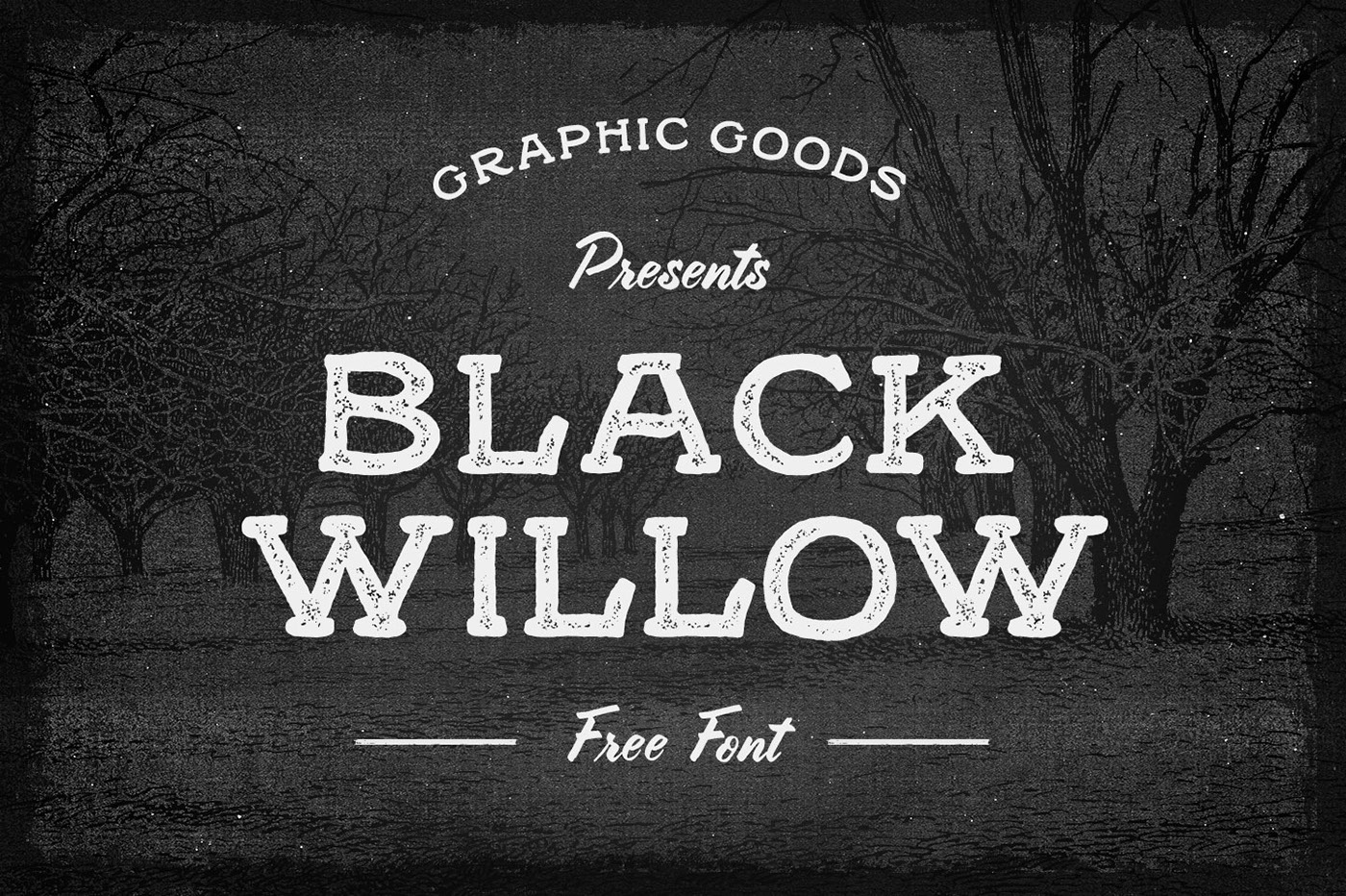 Free Download: Black Willow Font b1