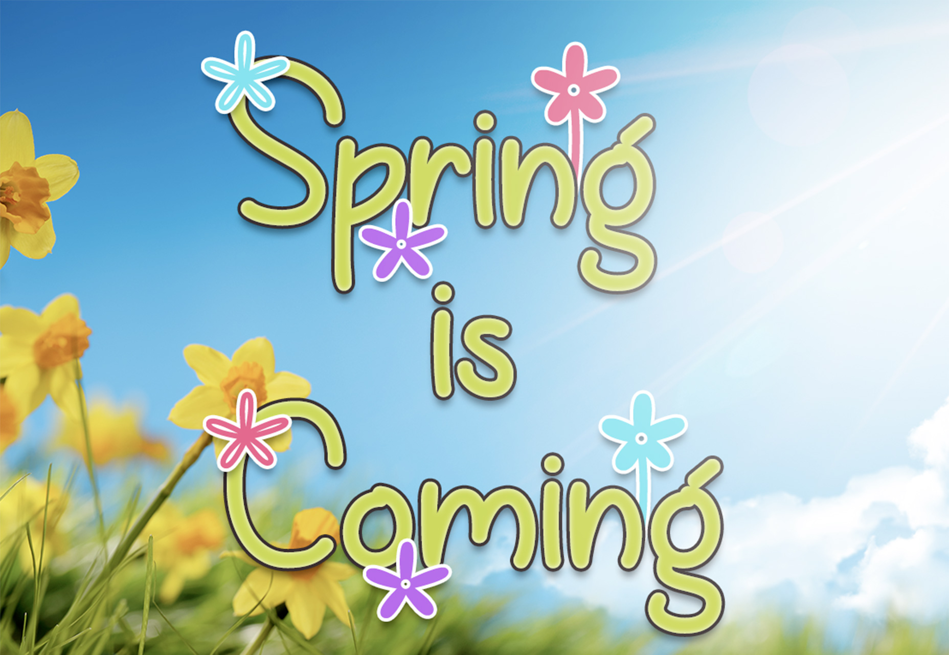 What’s New for Designers, April 2018 swatch