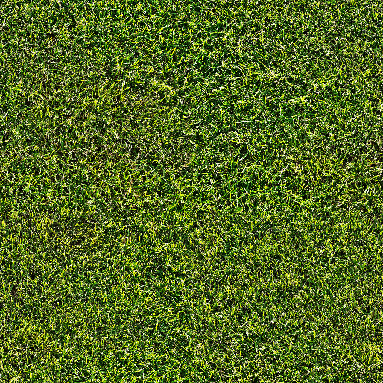Free Download: Wild Textures wildtextures_short-grass-field-seamless-texture