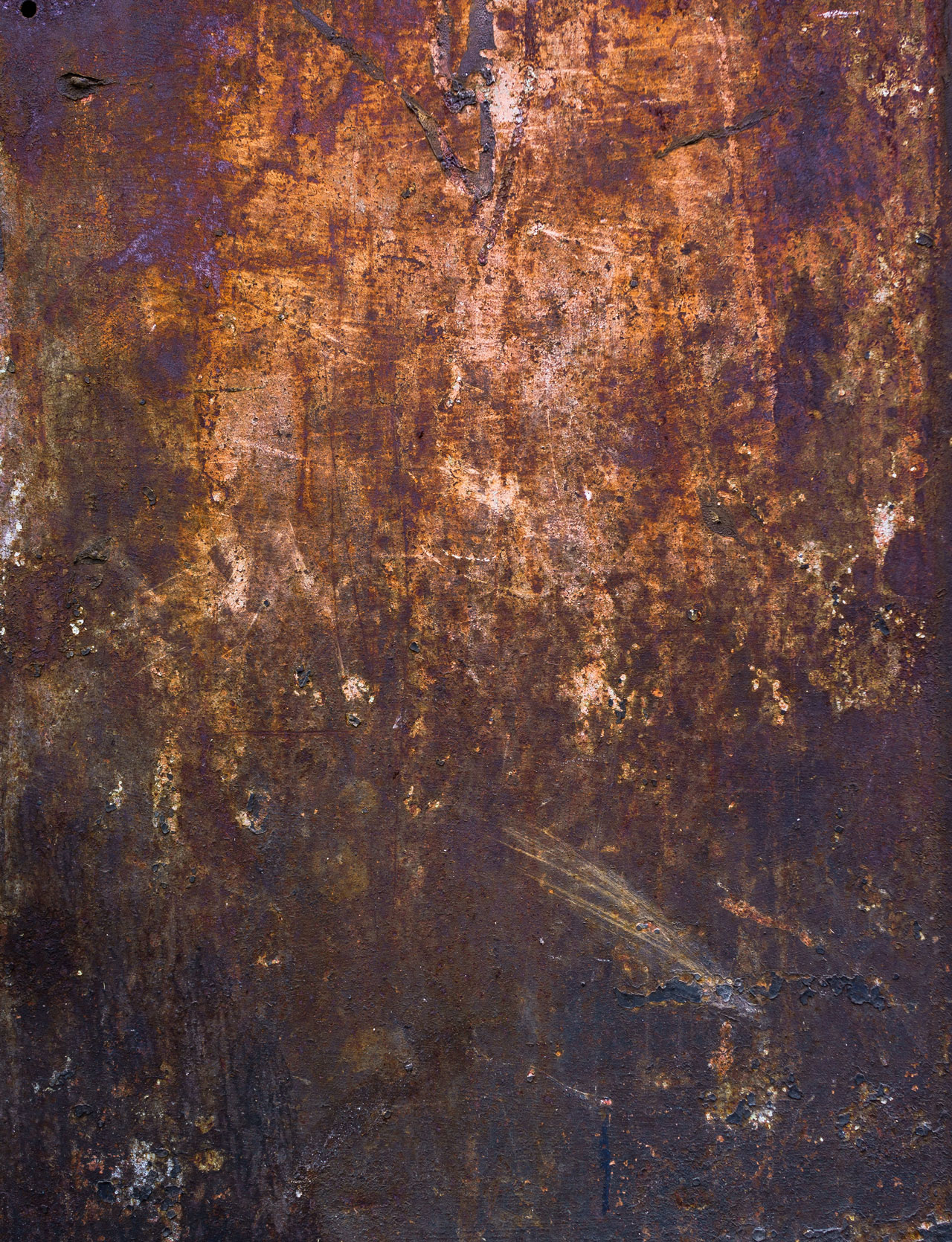 Free Download: Wild Textures wildtextures-grungy-rusted-metal-sheet