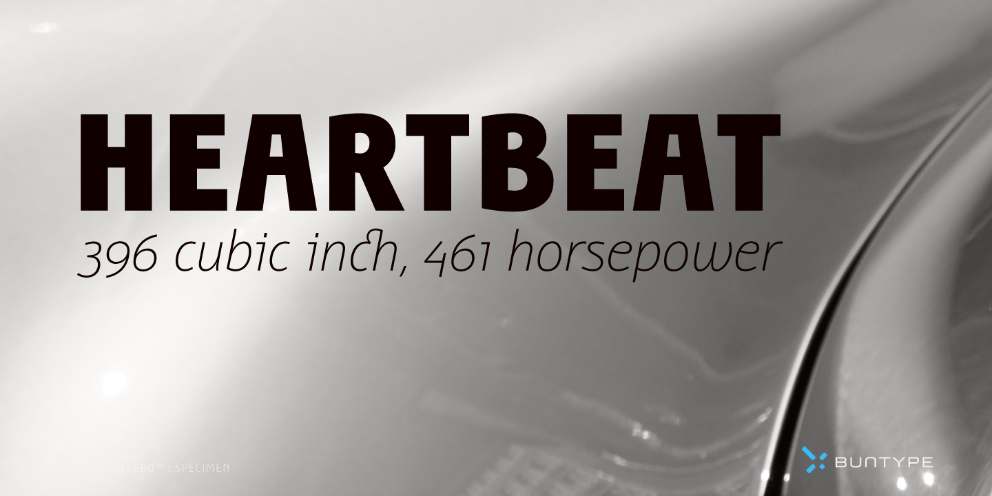 Free Download: Bunaero Type Family BunaeroPro-10