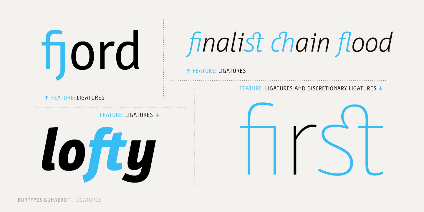 Free Download: Bunaero Type Family BunaeroPro-09