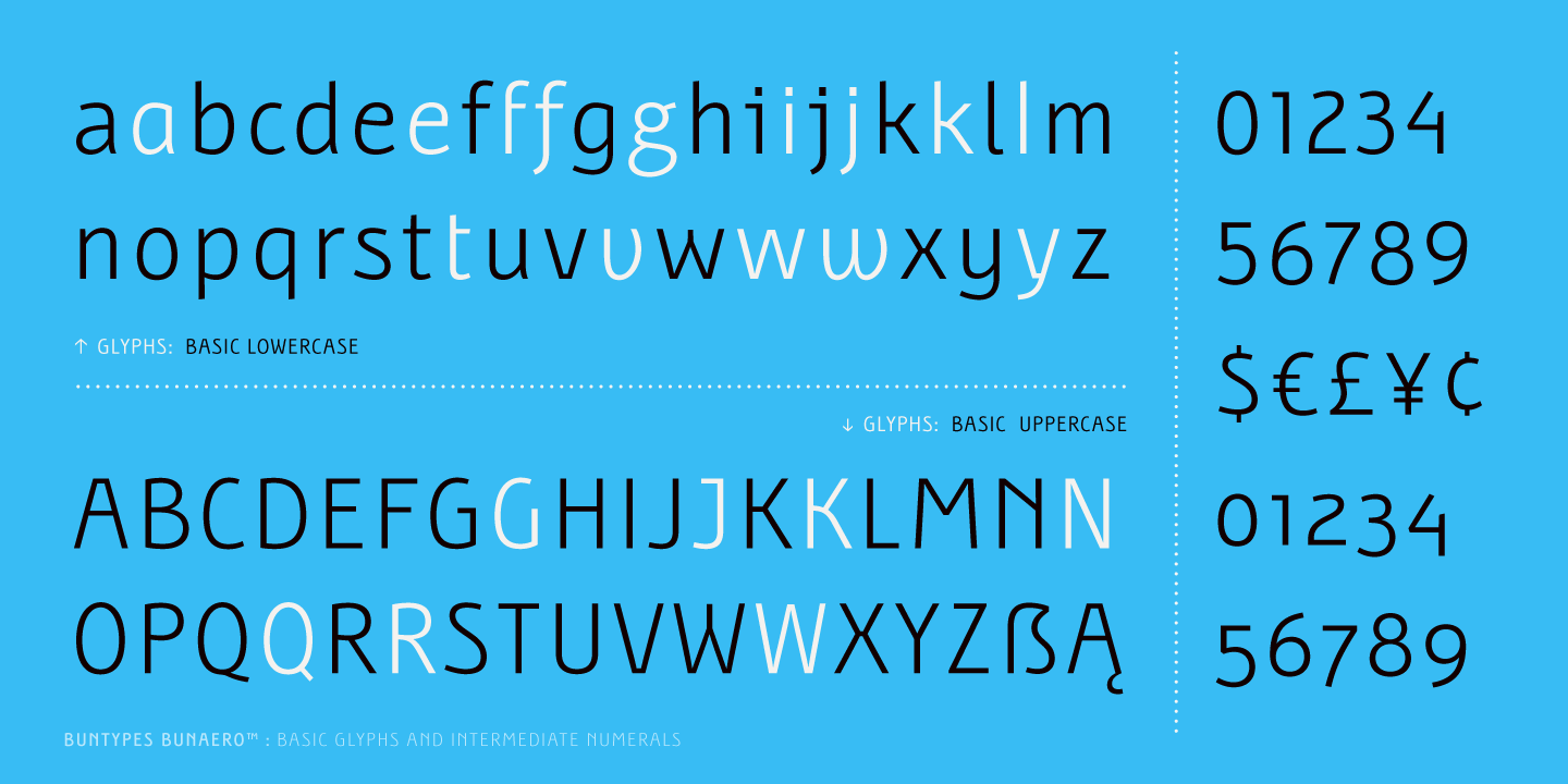 Free Download: Bunaero Type Family BunaeroPro-11