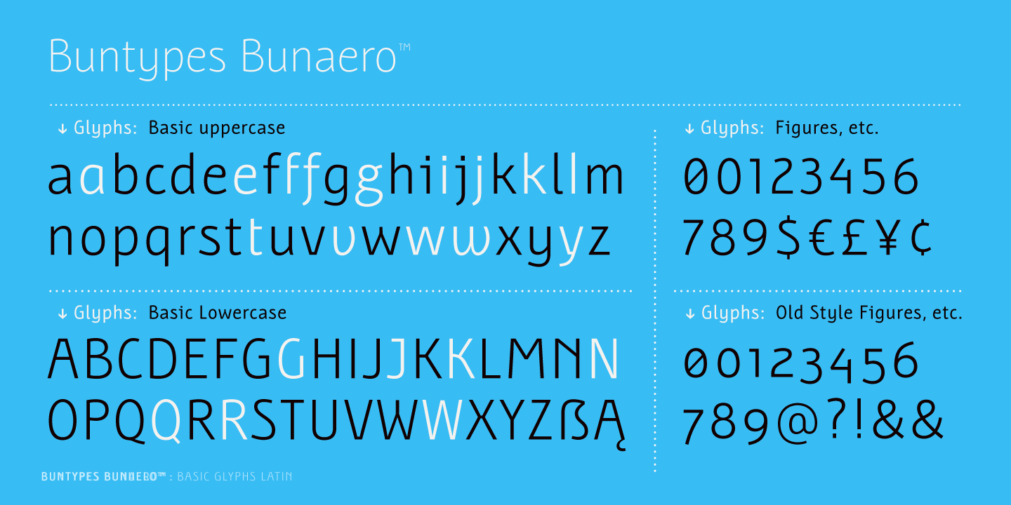 Free Download: Bunaero Type Family BunaeroPro-16