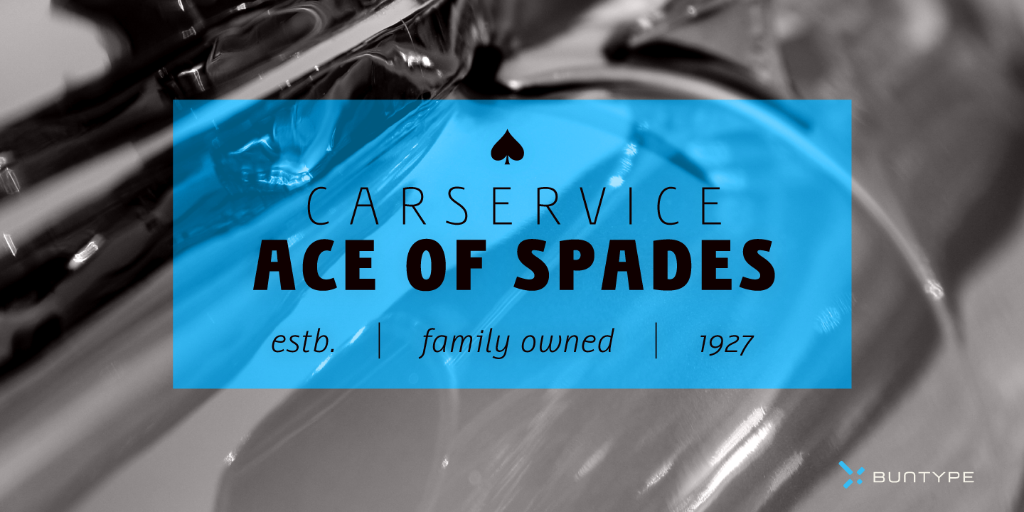 Free Download: Bunaero Type Family BunaeroPro-18