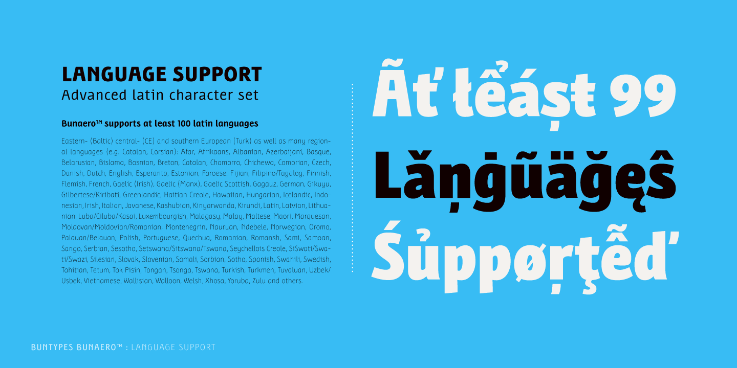 Free Download: Bunaero Type Family BunaeroPro-20