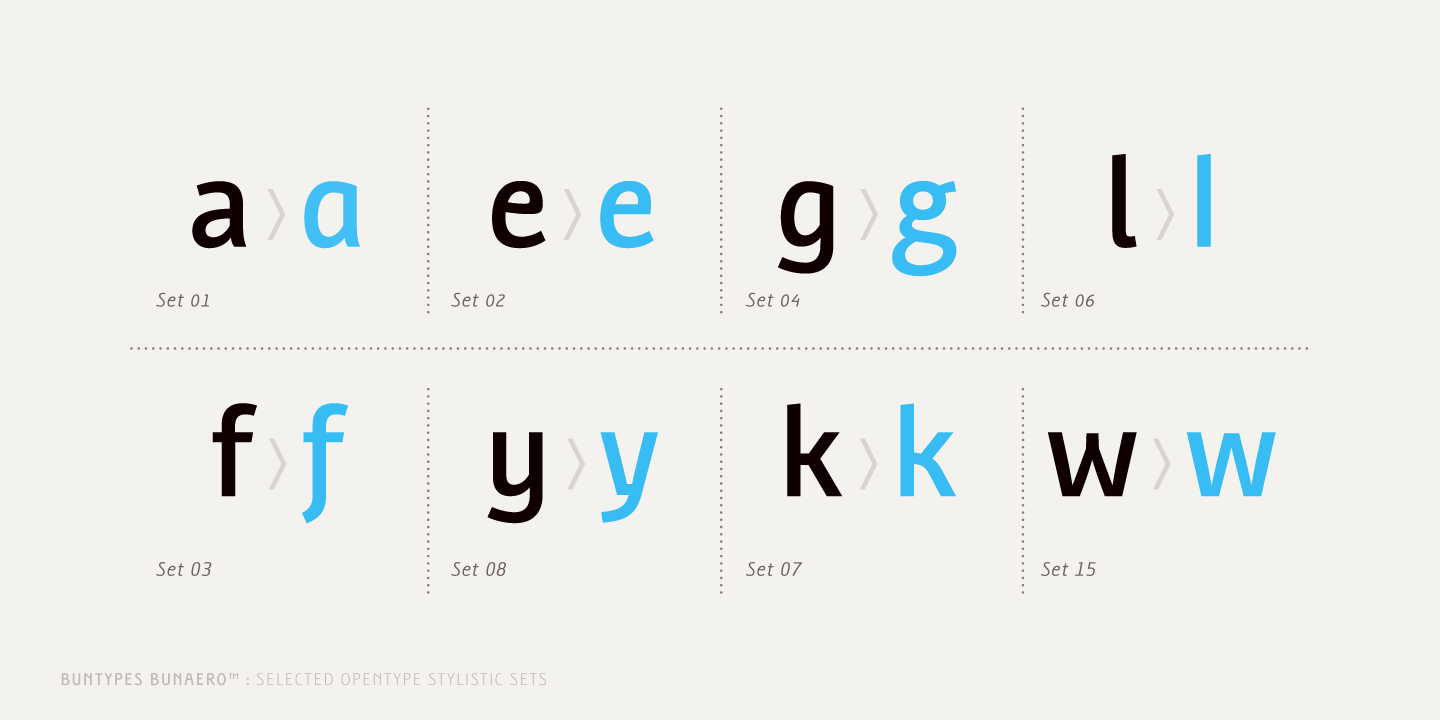 Free Download: Bunaero Type Family BunaeroPro-21