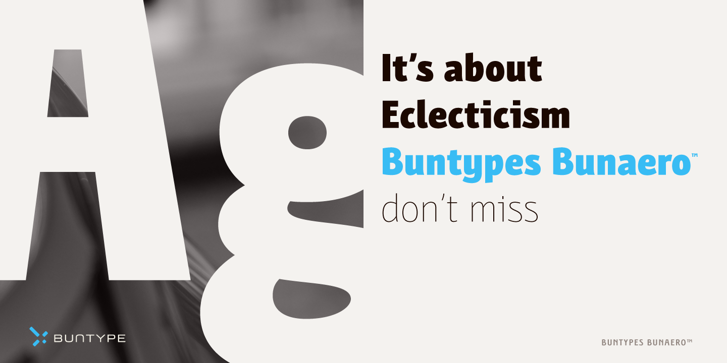 Free Download: Bunaero Type Family BunaeroPro-05