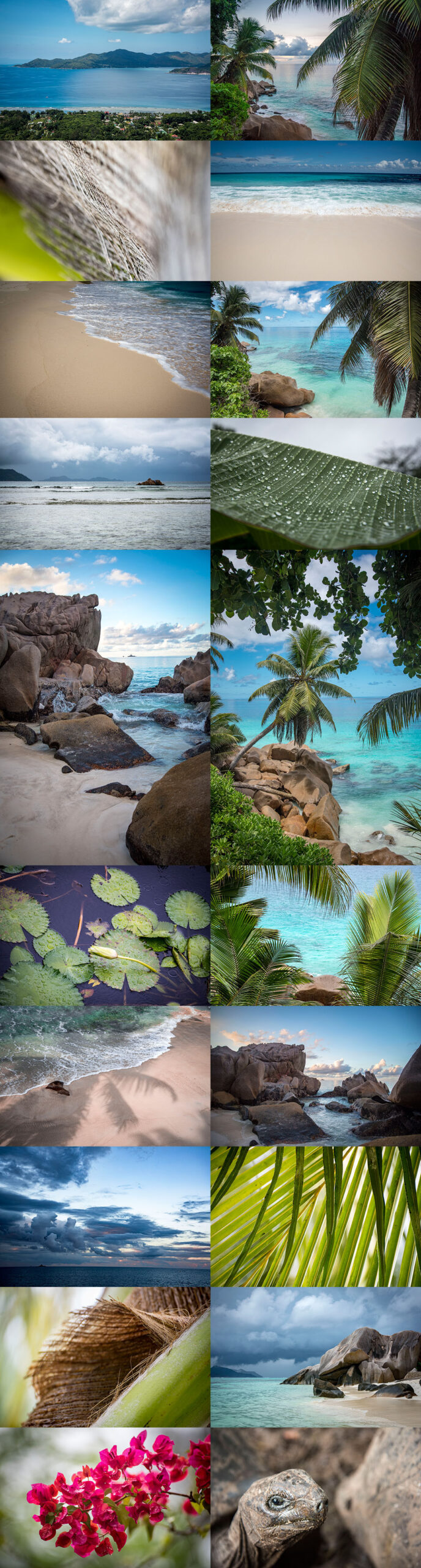 Free Download: 20 Photos From Seychelles cb4c1960731003.5a5735994ff55