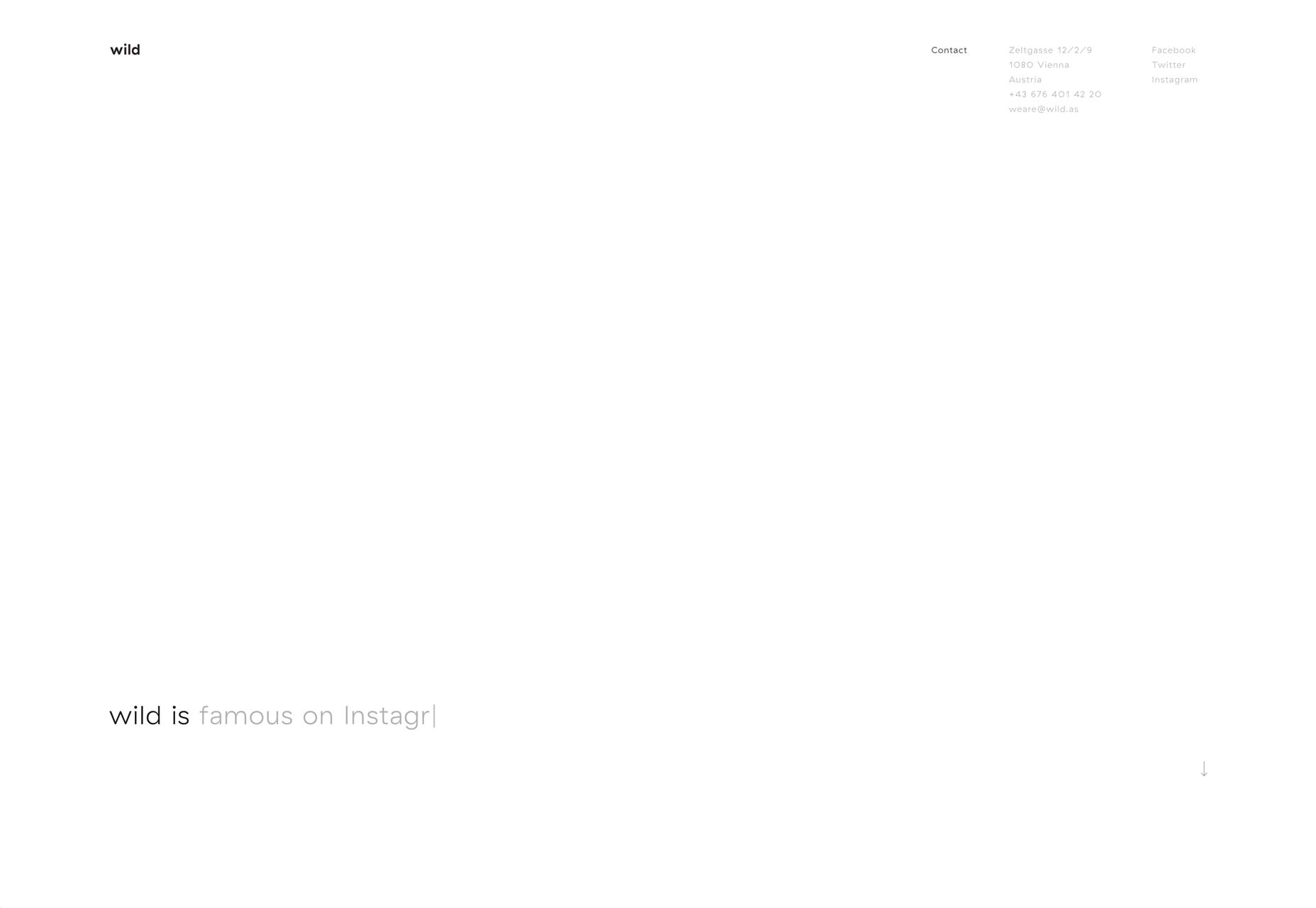 20 Best New Portfolio Sites, November 2017 wild