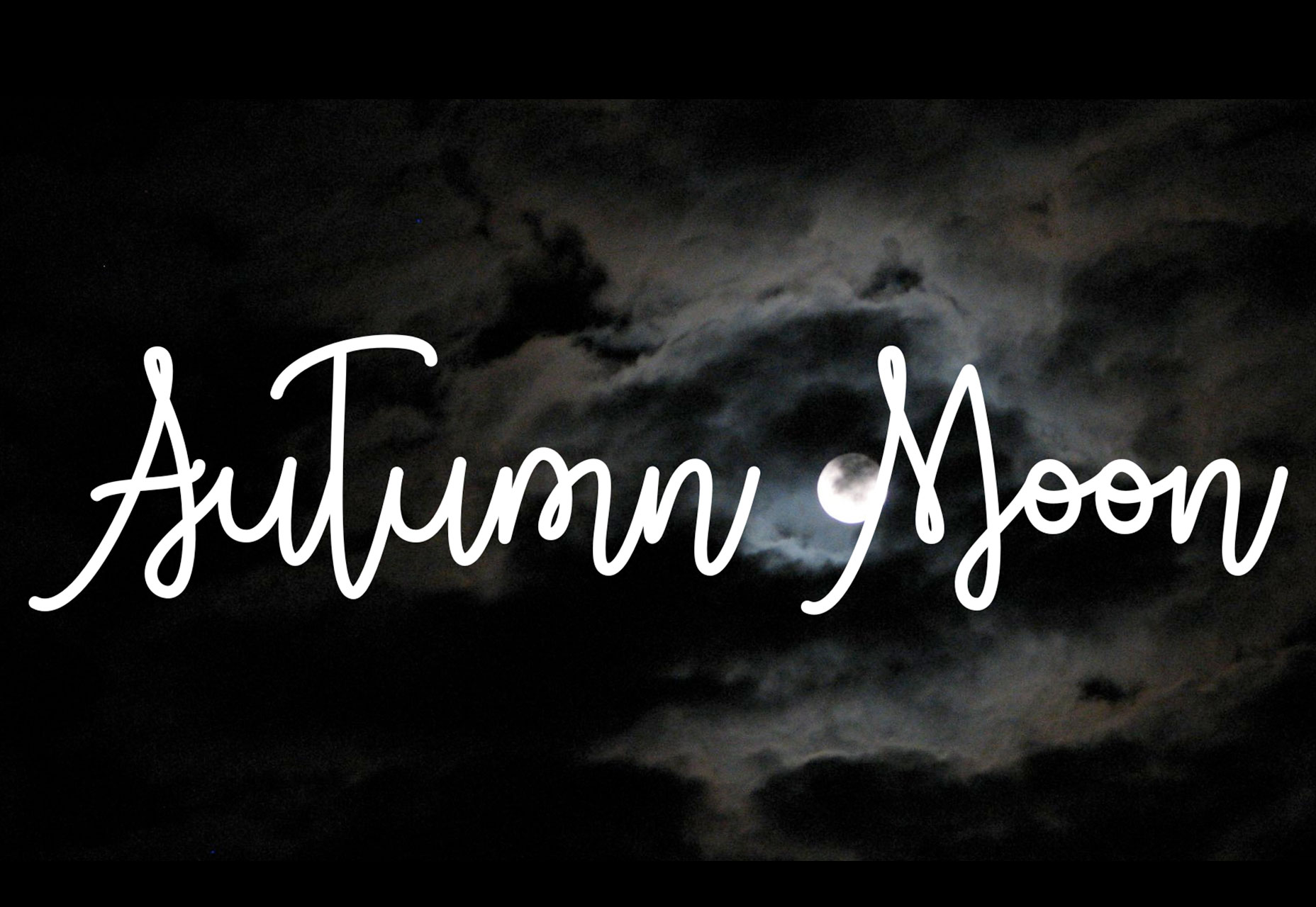 What’s New for Designers, November 2017 autumn-moon